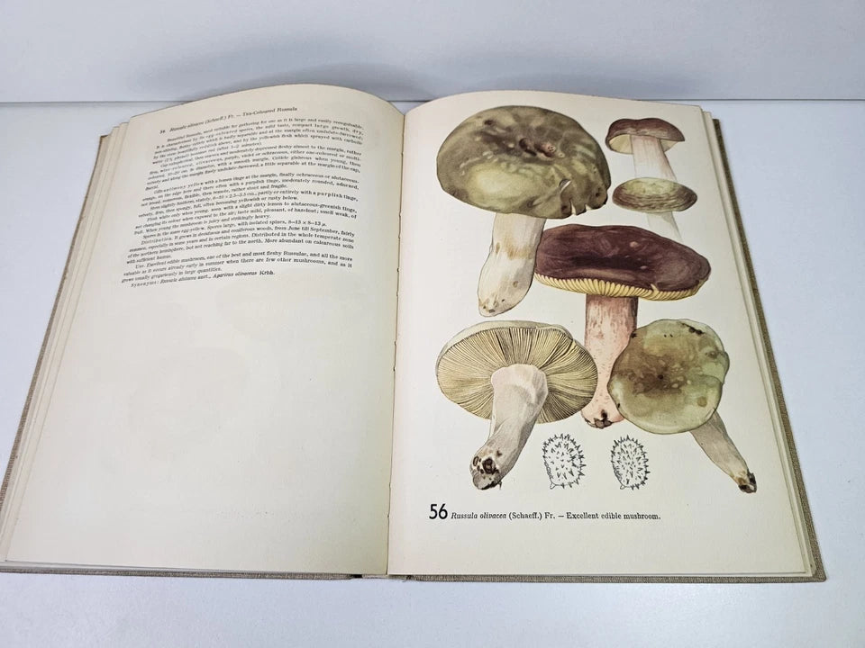 Mushrooms with 120 Colour Plates from Water Colours by Otto Usak (1954)