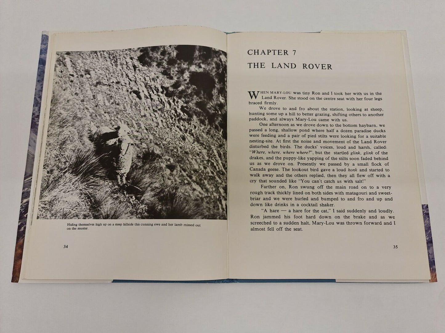 Mary Lou: Story of a High Country Lamb by Mona Anderson