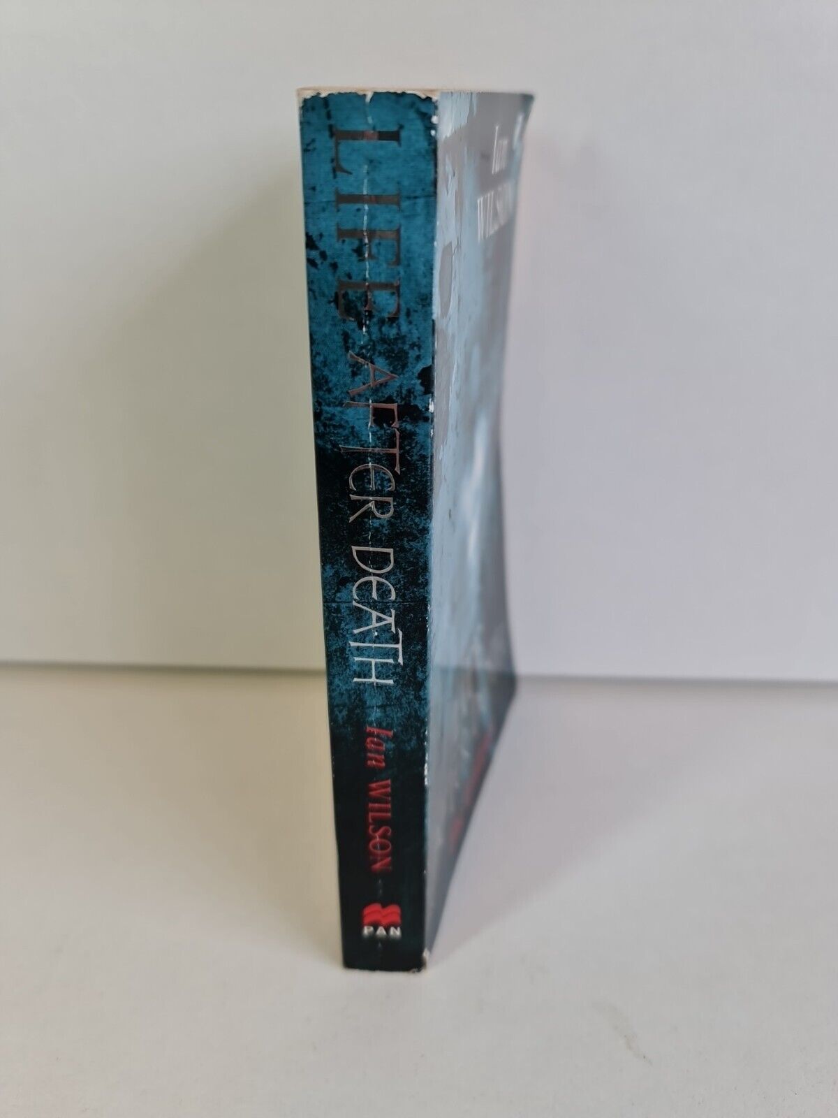 Life After Death: The Evidence by Ian Wilson (1998)