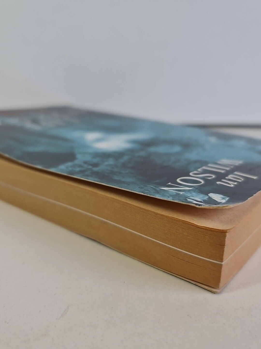 Life After Death: The Evidence by Ian Wilson (1998)