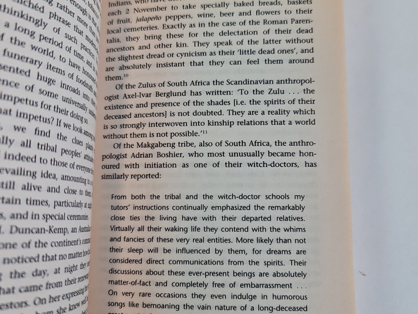 Life After Death: The Evidence by Ian Wilson (1998)