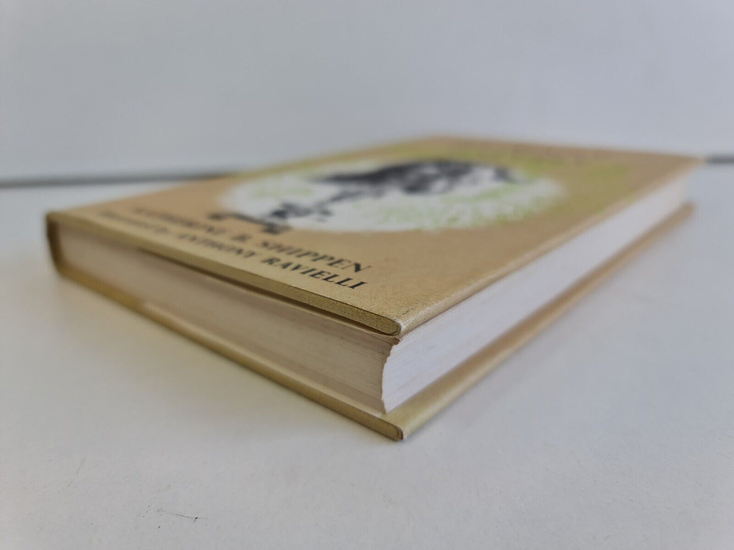 So Many Marvels by Katherine Binney Shippen (1968)