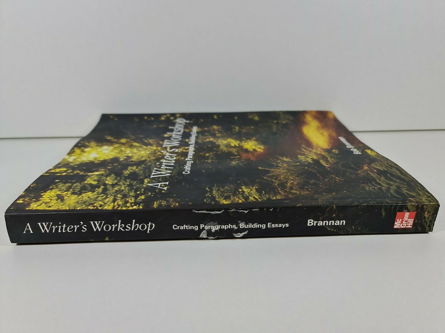 A Writer's Workshop: Crafting Paragraphs, Building Essays by Bob Brannan