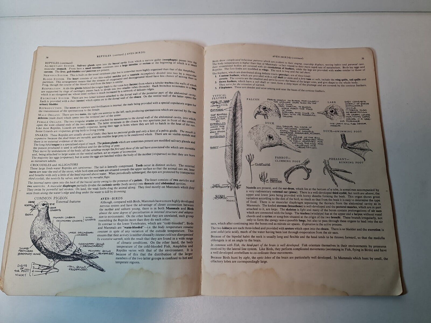 Illustrated Biology: v. 2 by Maud Jepson (1961)