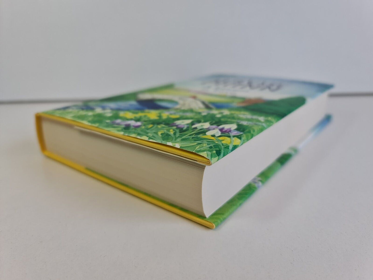 SIGNED A Lesson In Love: A Little Village School Novel by Gervase Phinn
