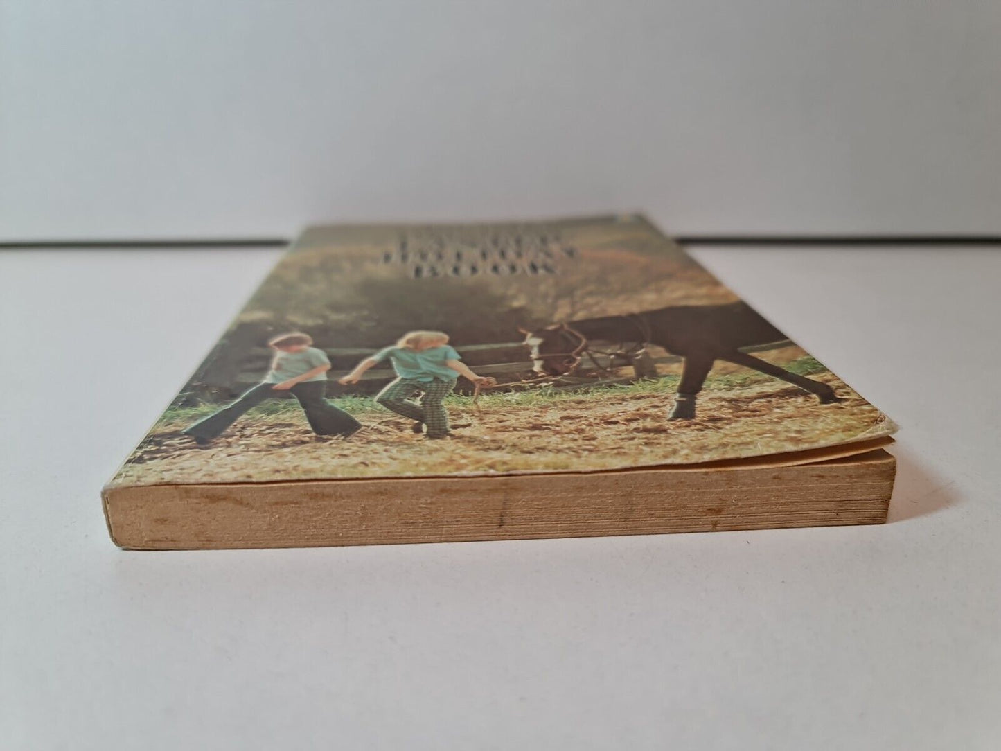 Easter Holiday Book by Noel Streatfeild (1976)