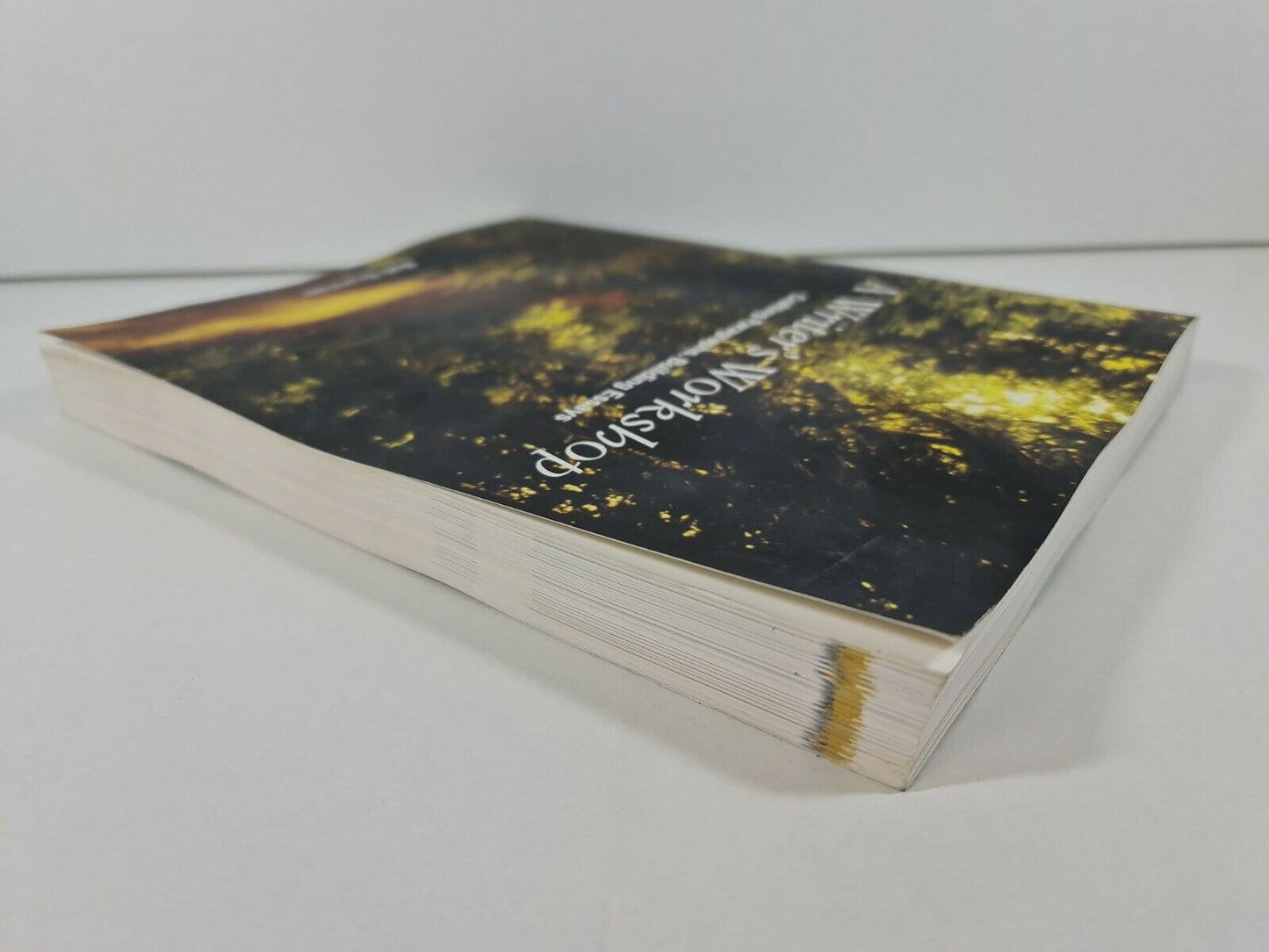 A Writer's Workshop: Crafting Paragraphs, Building Essays by Bob Brannan