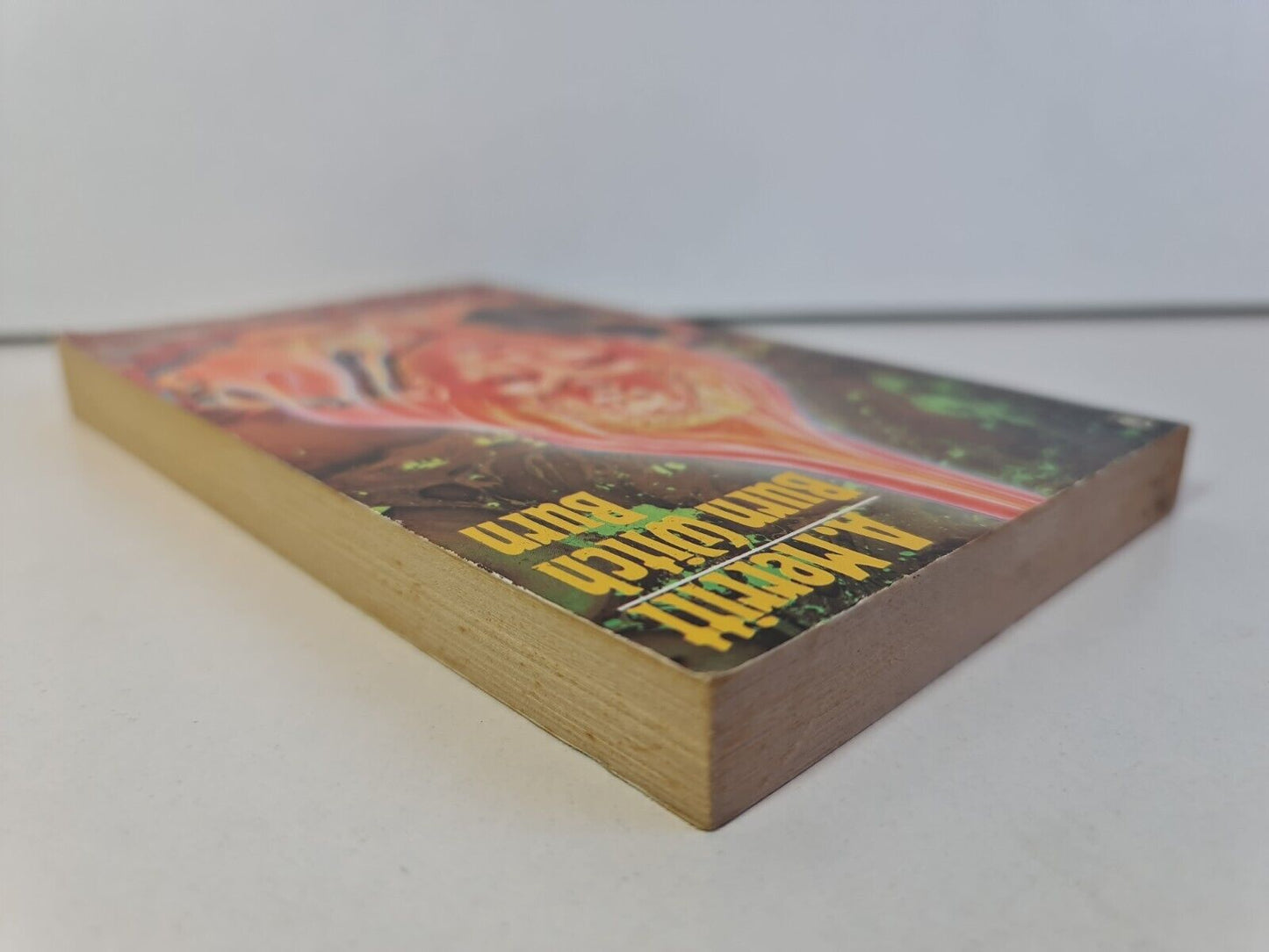 Burn Witch Burn! by Abraham Merritt (1974)