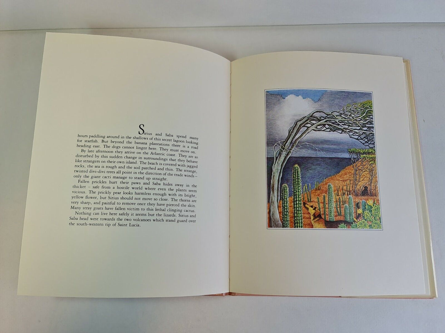 Sirius and Saba by Deborah King (1981)