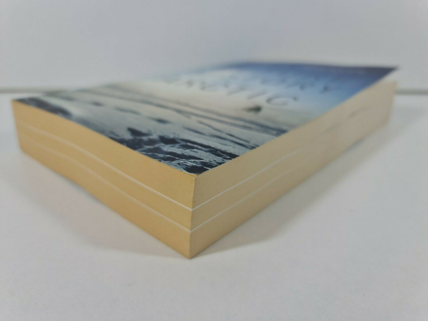 The Future History of the Arctic by Charles Emmerson
