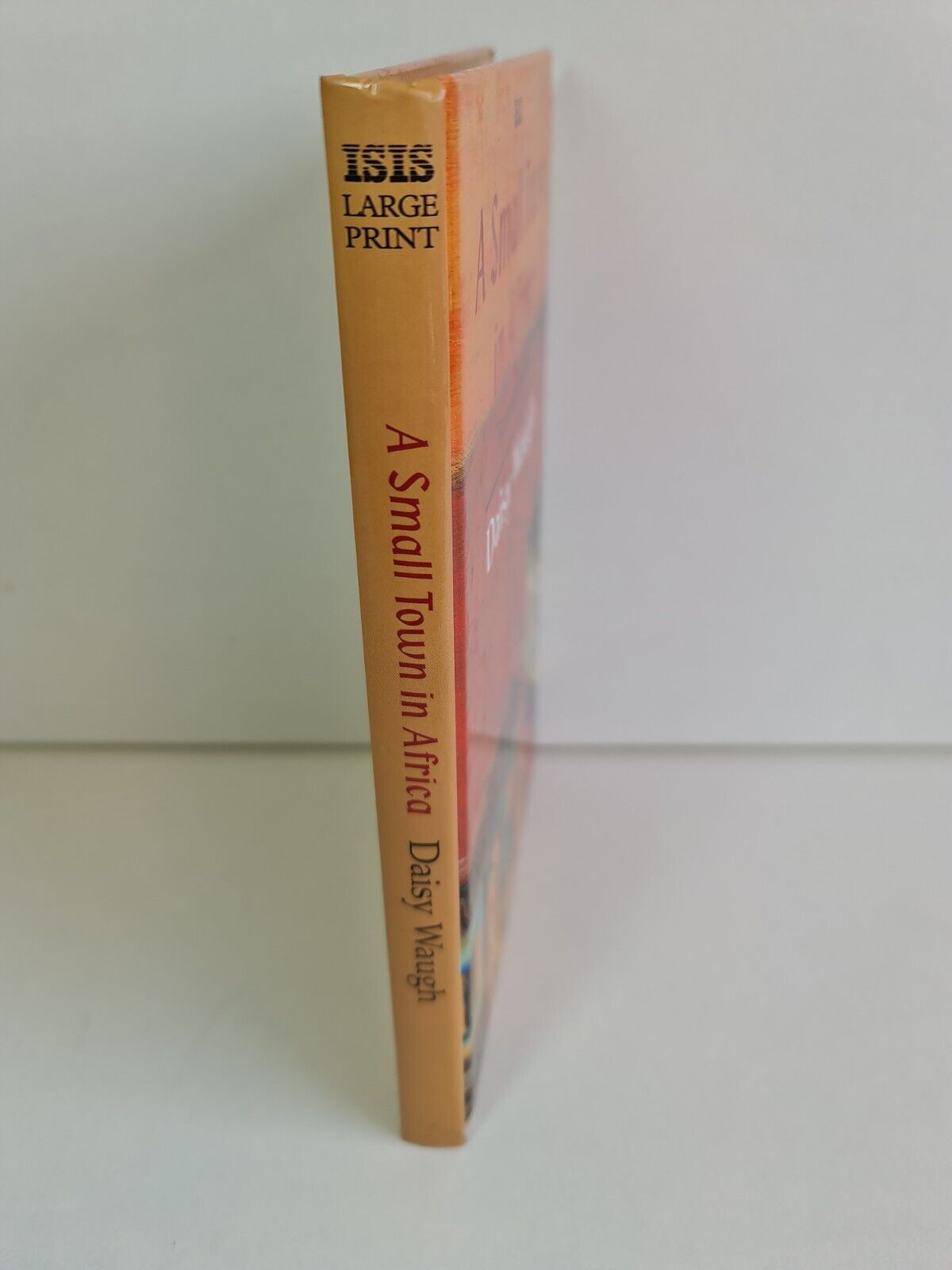 A Small Town in Africa by Daisy Waugh (1995 -ISIS Large Print)