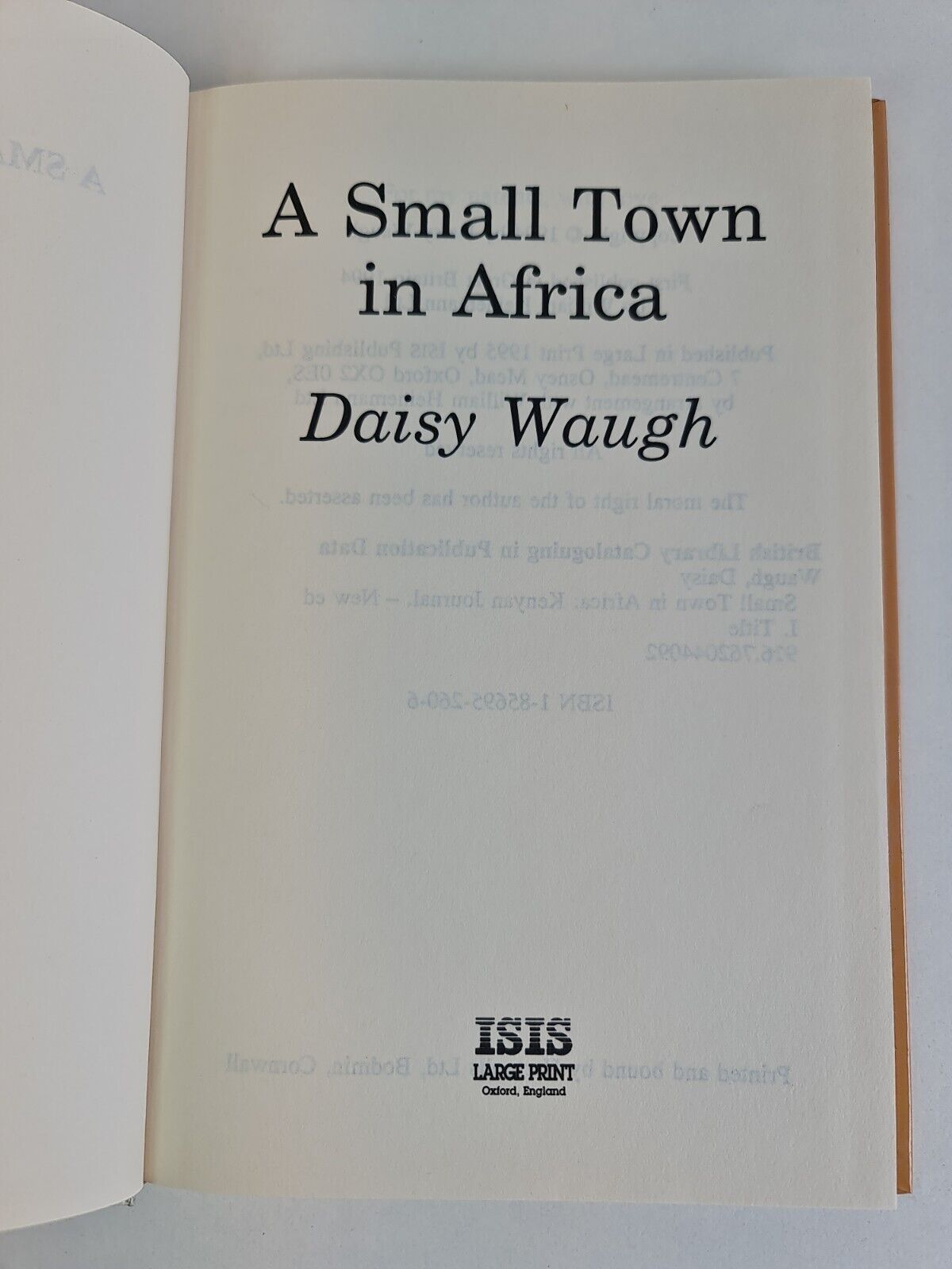 A Small Town in Africa by Daisy Waugh (1995 -ISIS Large Print)