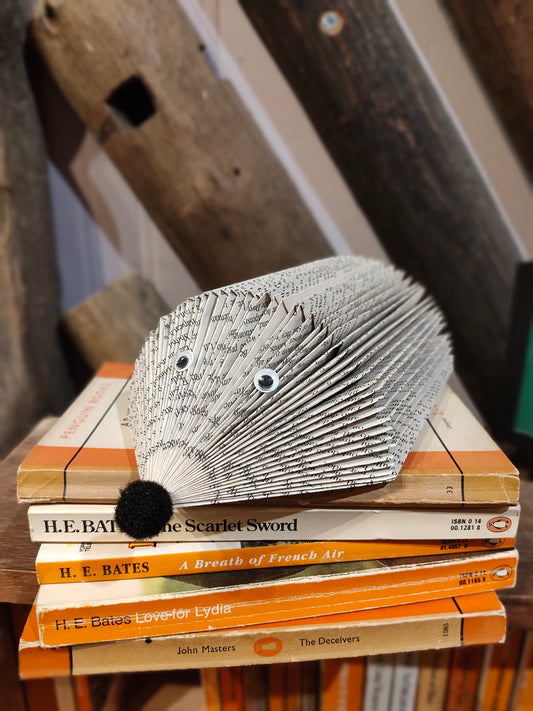 Make Your Own Book Fold Hedgehog Kit