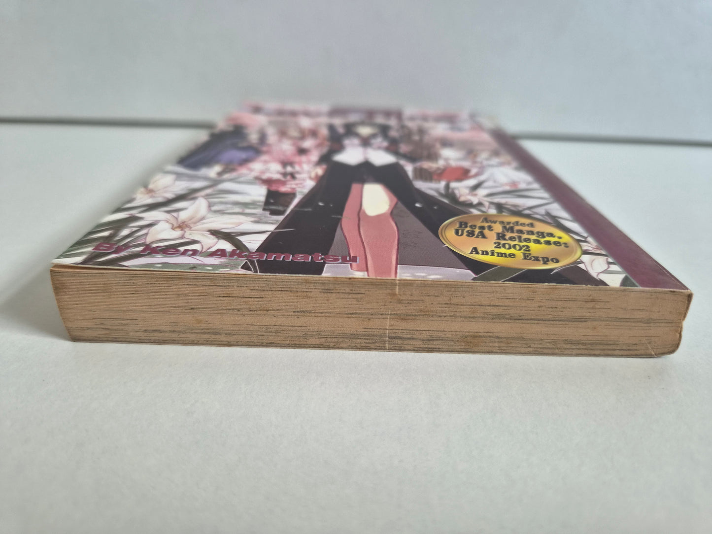 Love Hina Volume 11 by Ken Akamatsu (2003)
