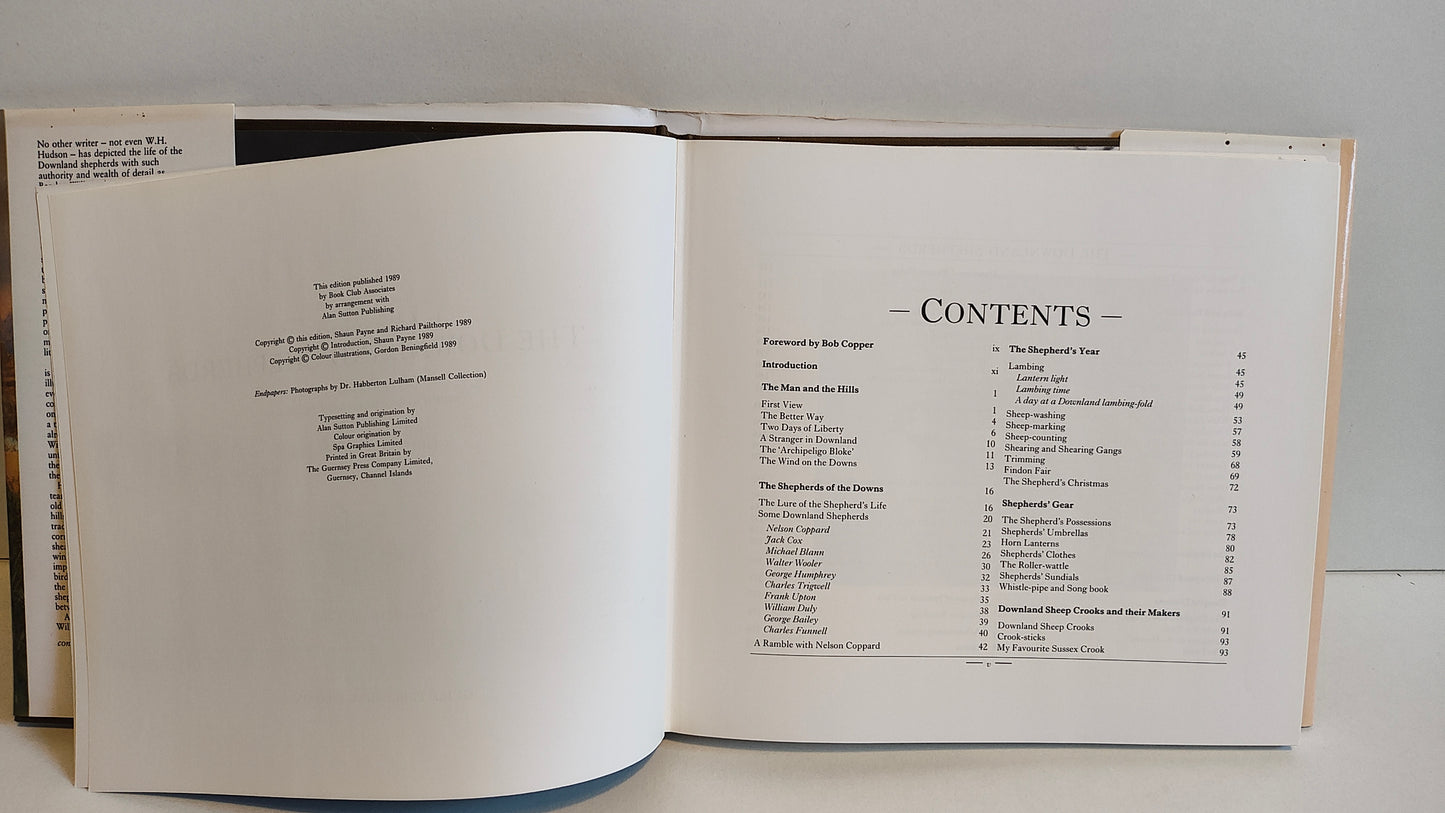 Barclay Wills' The Downland Shepherds (1989)