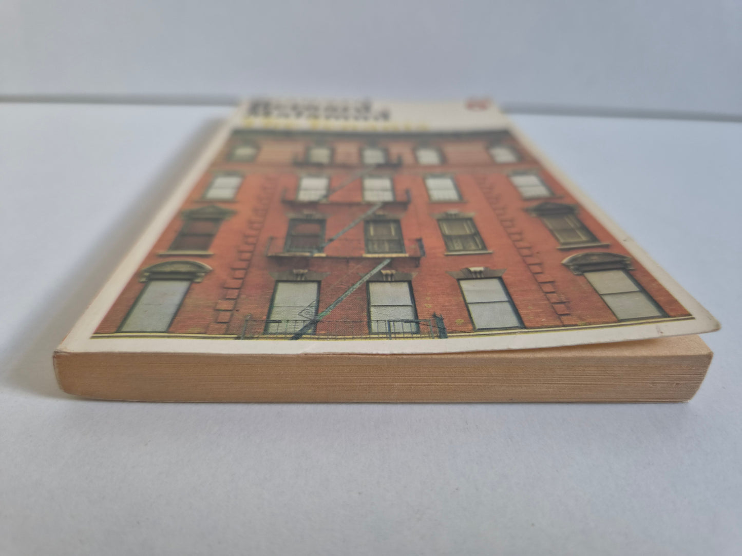 The Tenants by Bernard Malamud (1976)