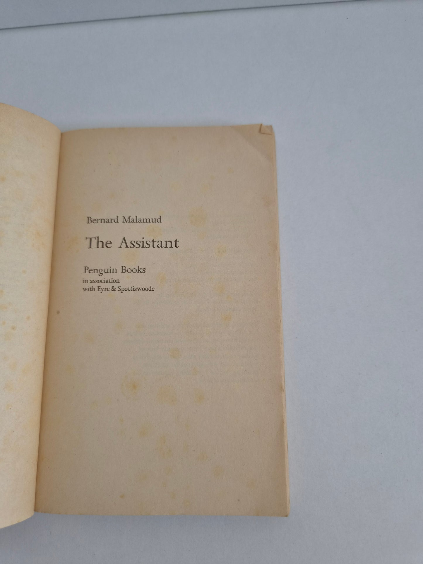 The Assistant by Bernard Malamud (1957)