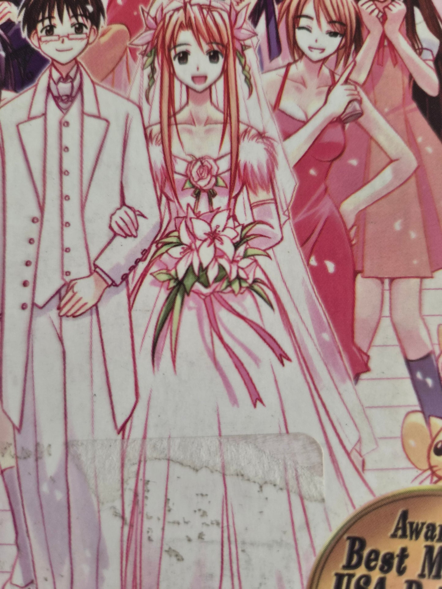 Love Hina Volume 14 by Ken Akamatsu (2003)