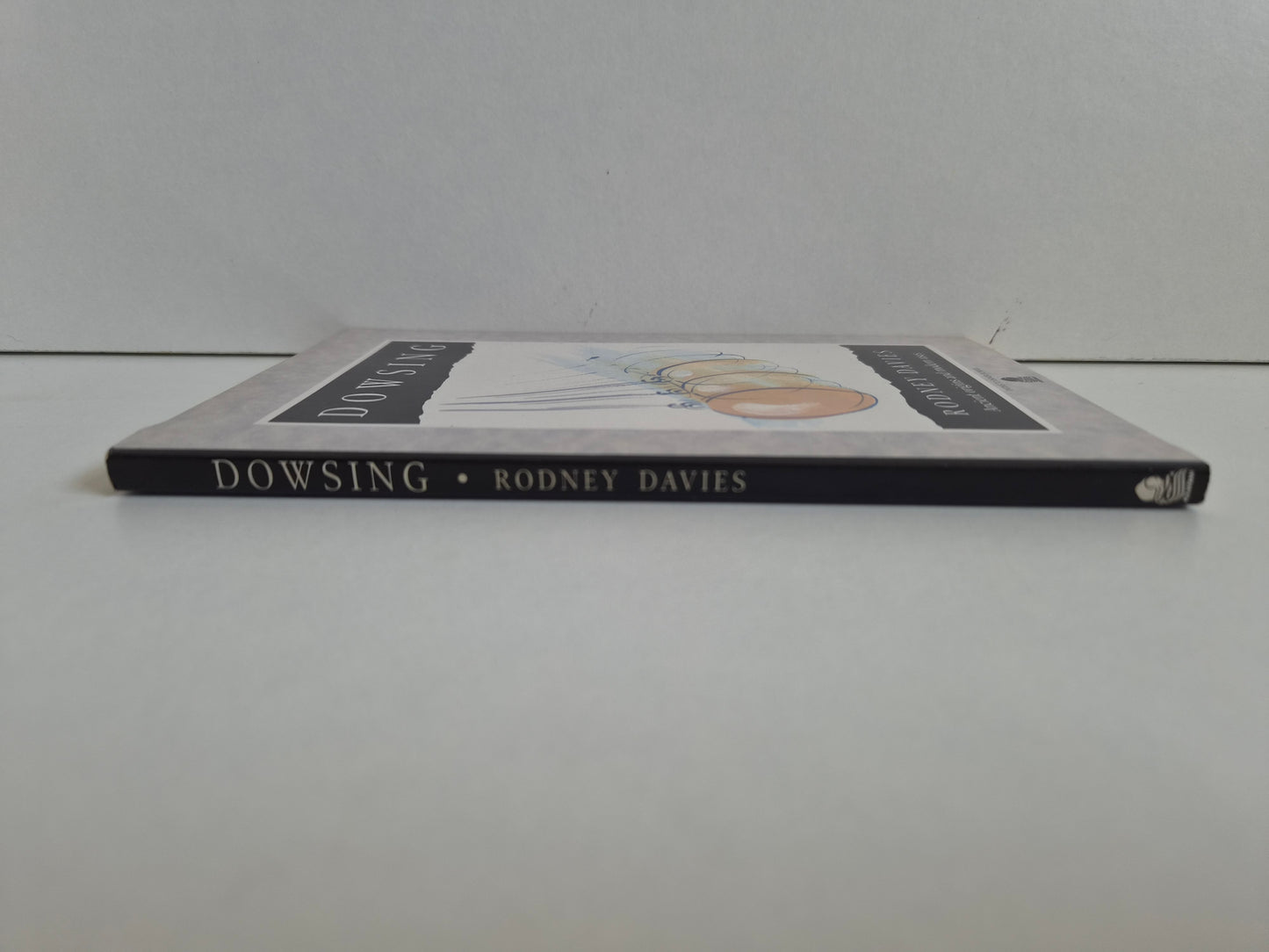 Dowsing by Rodney Davies (1991)