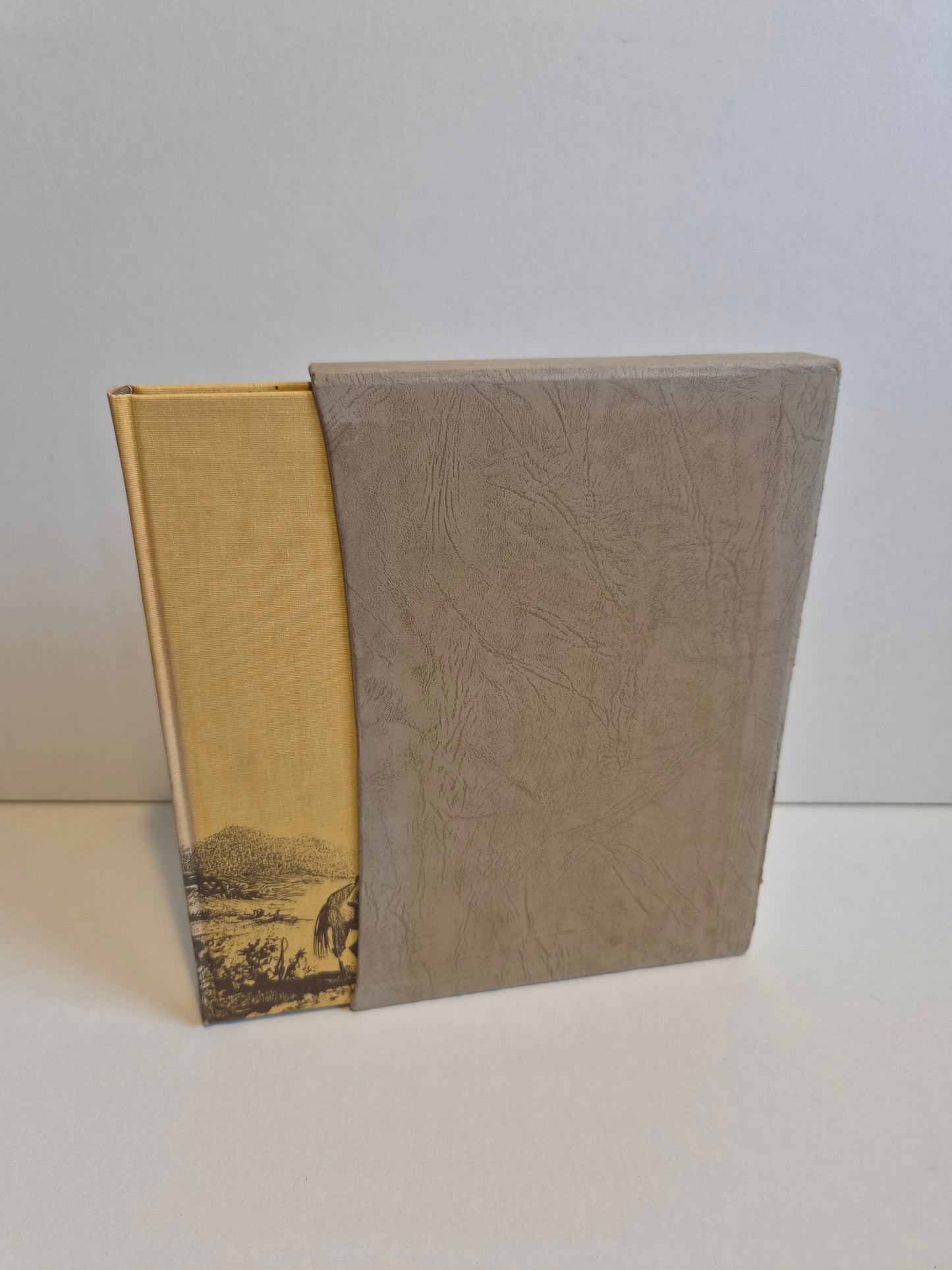 The Virginian by Owen Wister (1981)