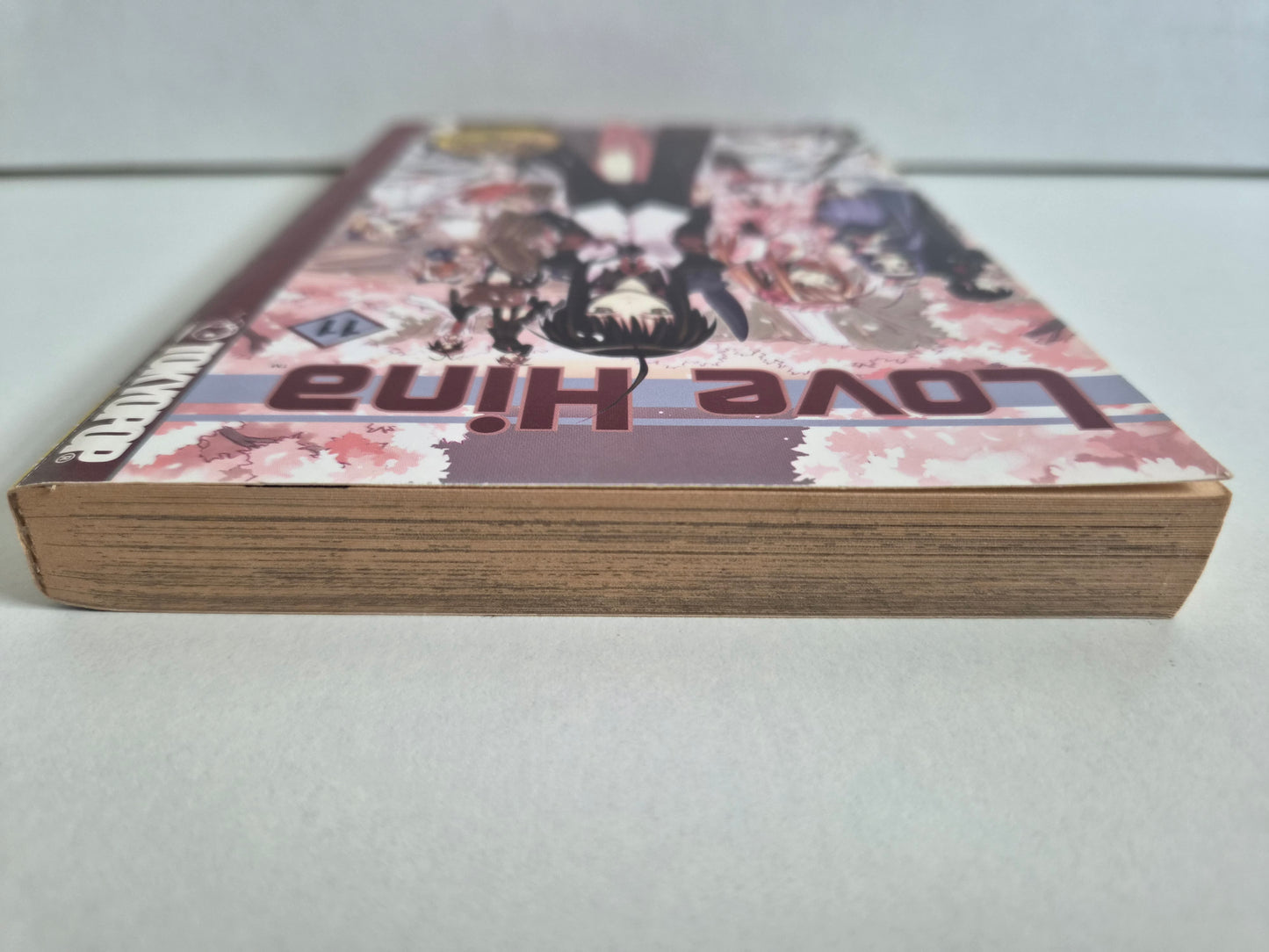 Love Hina Volume 11 by Ken Akamatsu (2003)