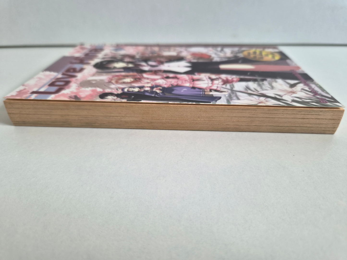 Love Hina Volume 11 by Ken Akamatsu (2003)