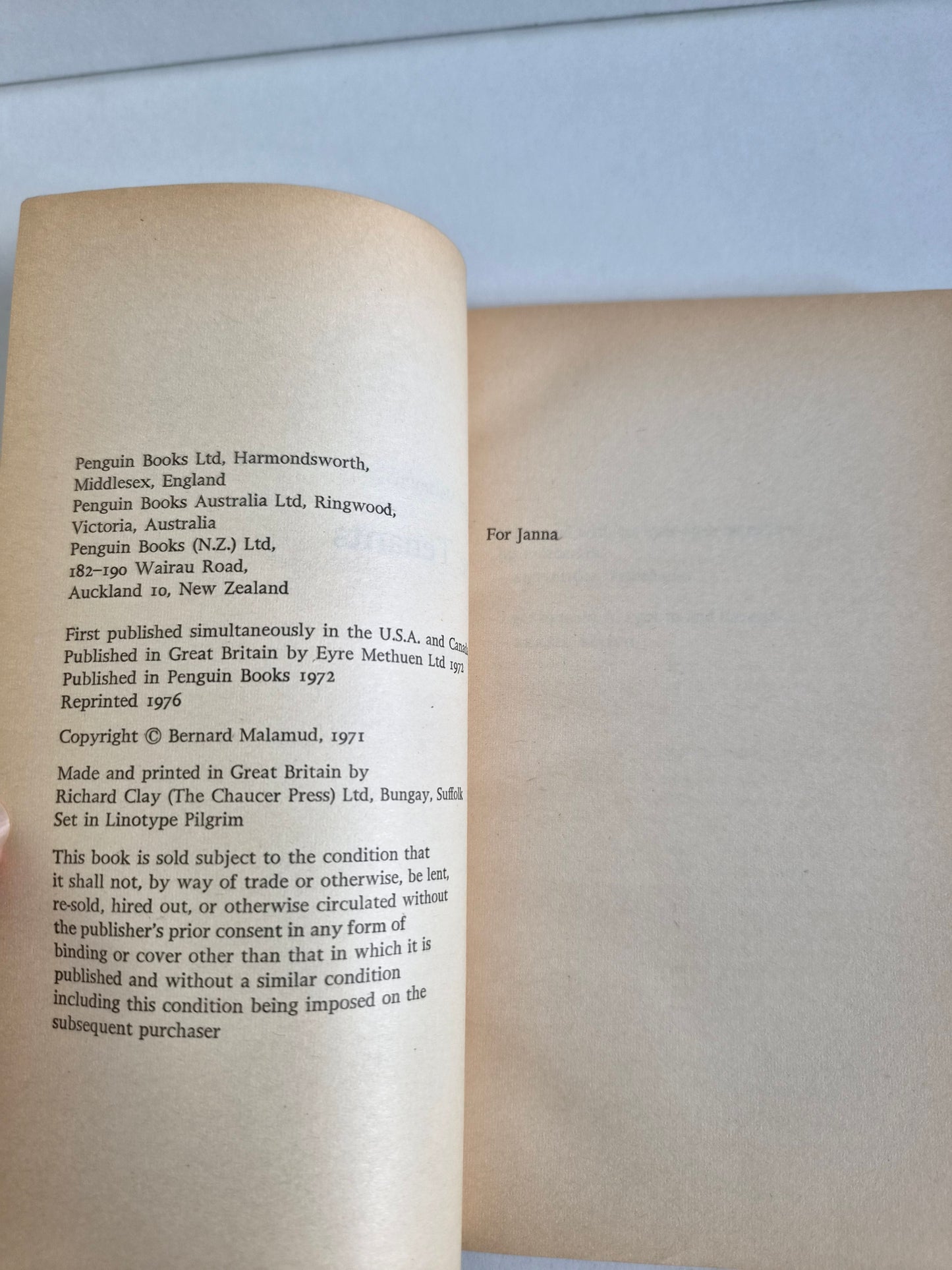 The Tenants by Bernard Malamud (1976)
