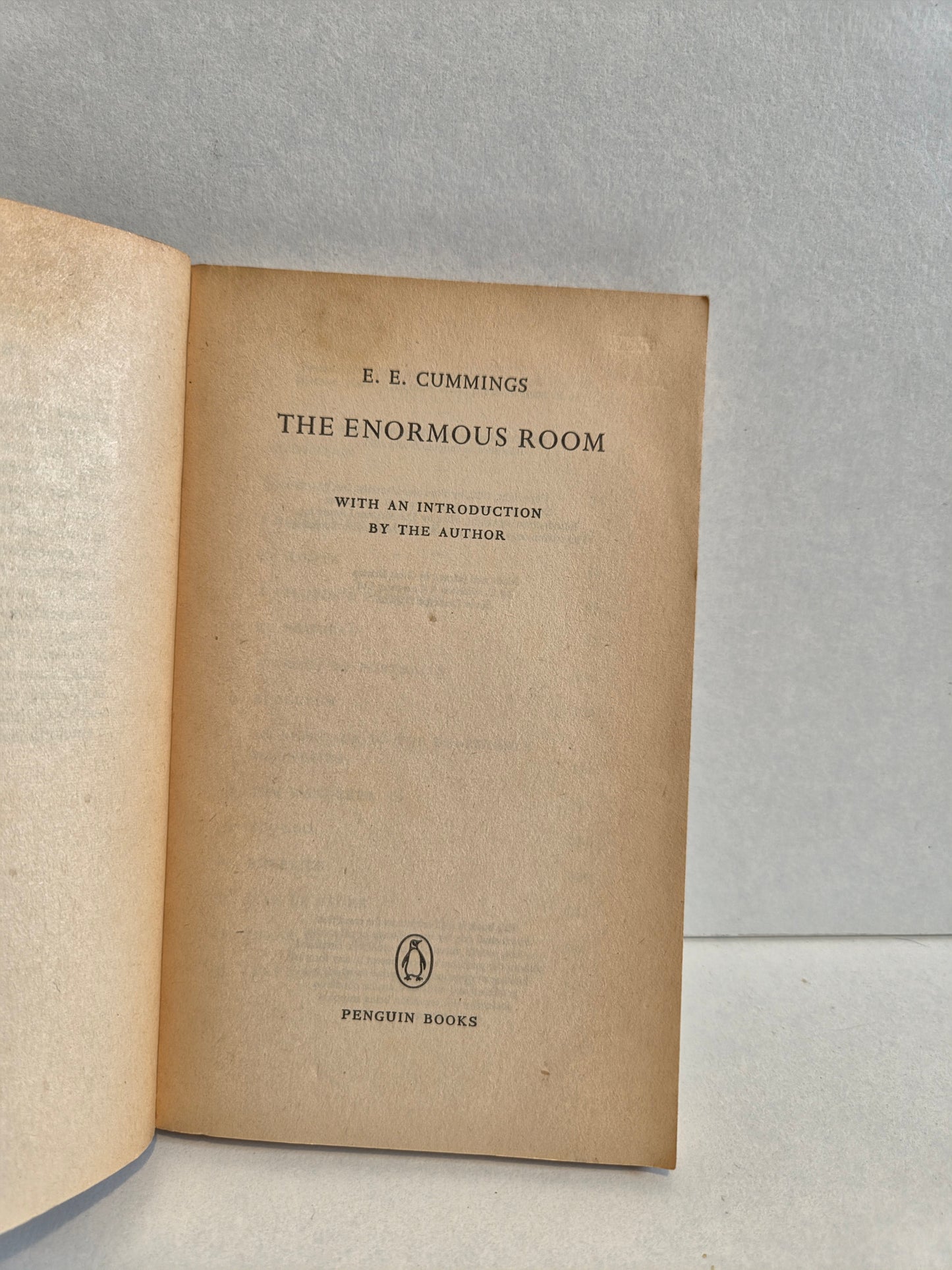 The Enormous Room by E E Cummings (1971)