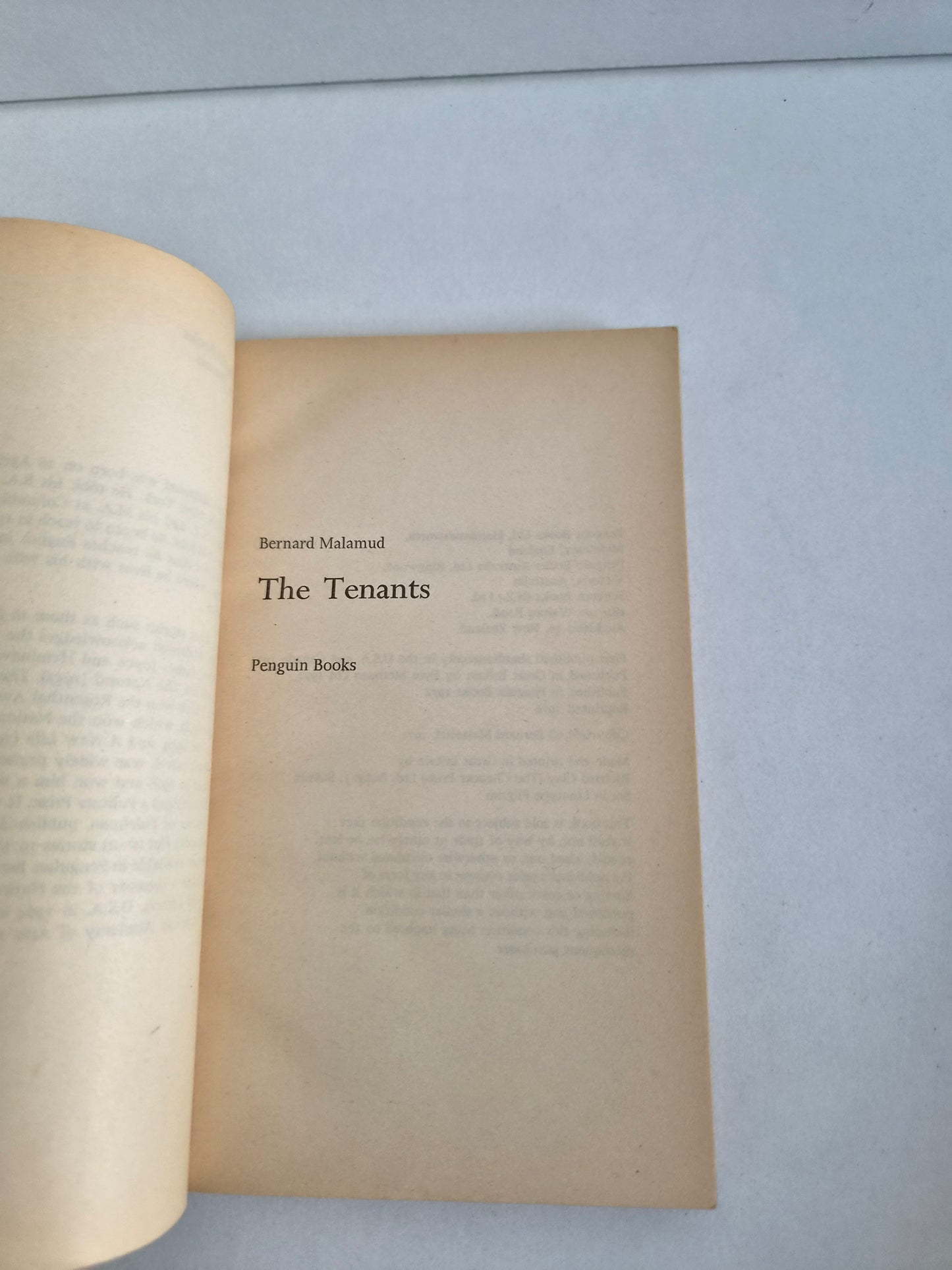 The Tenants by Bernard Malamud (1976)