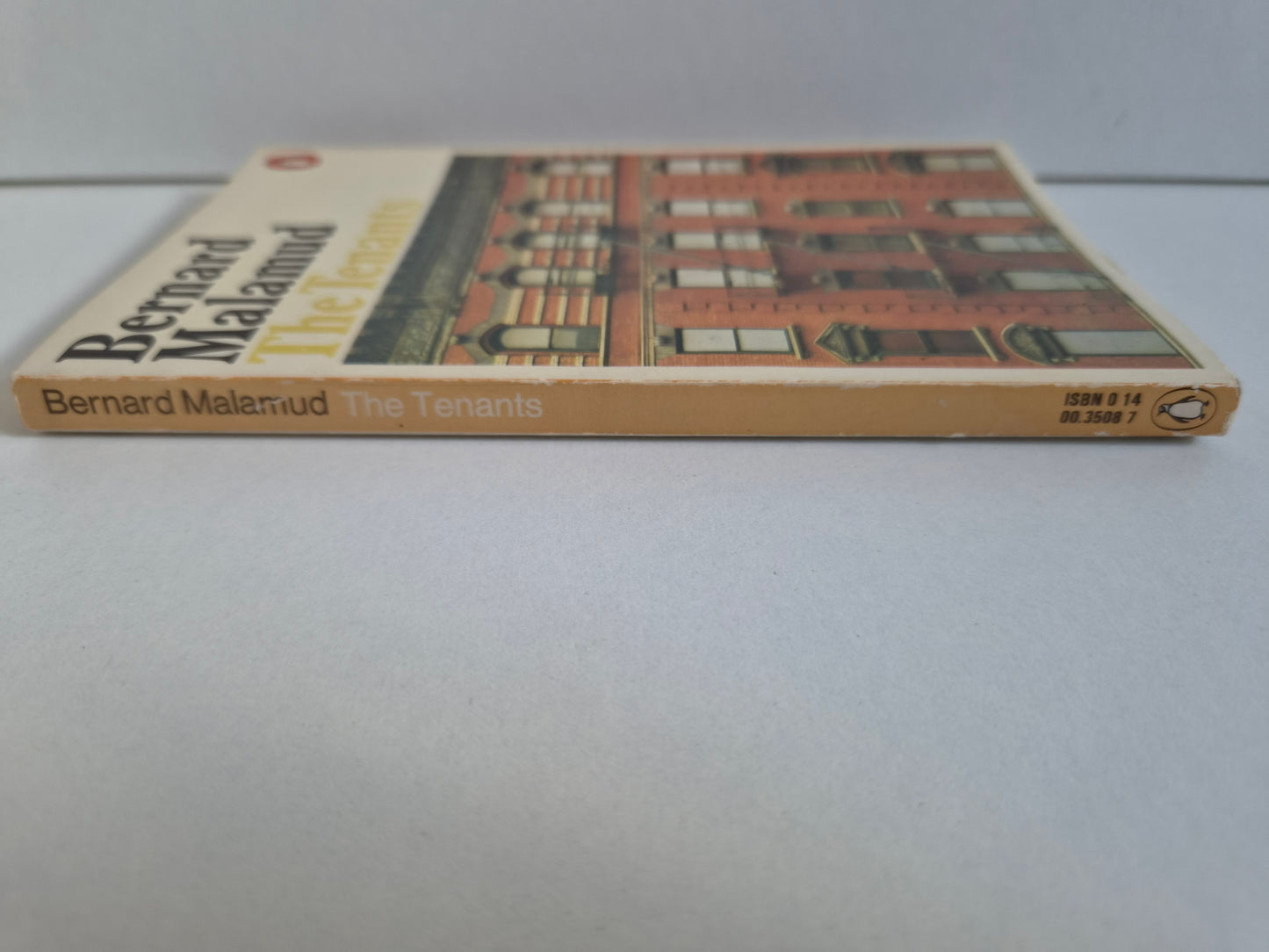The Tenants by Bernard Malamud (1976)