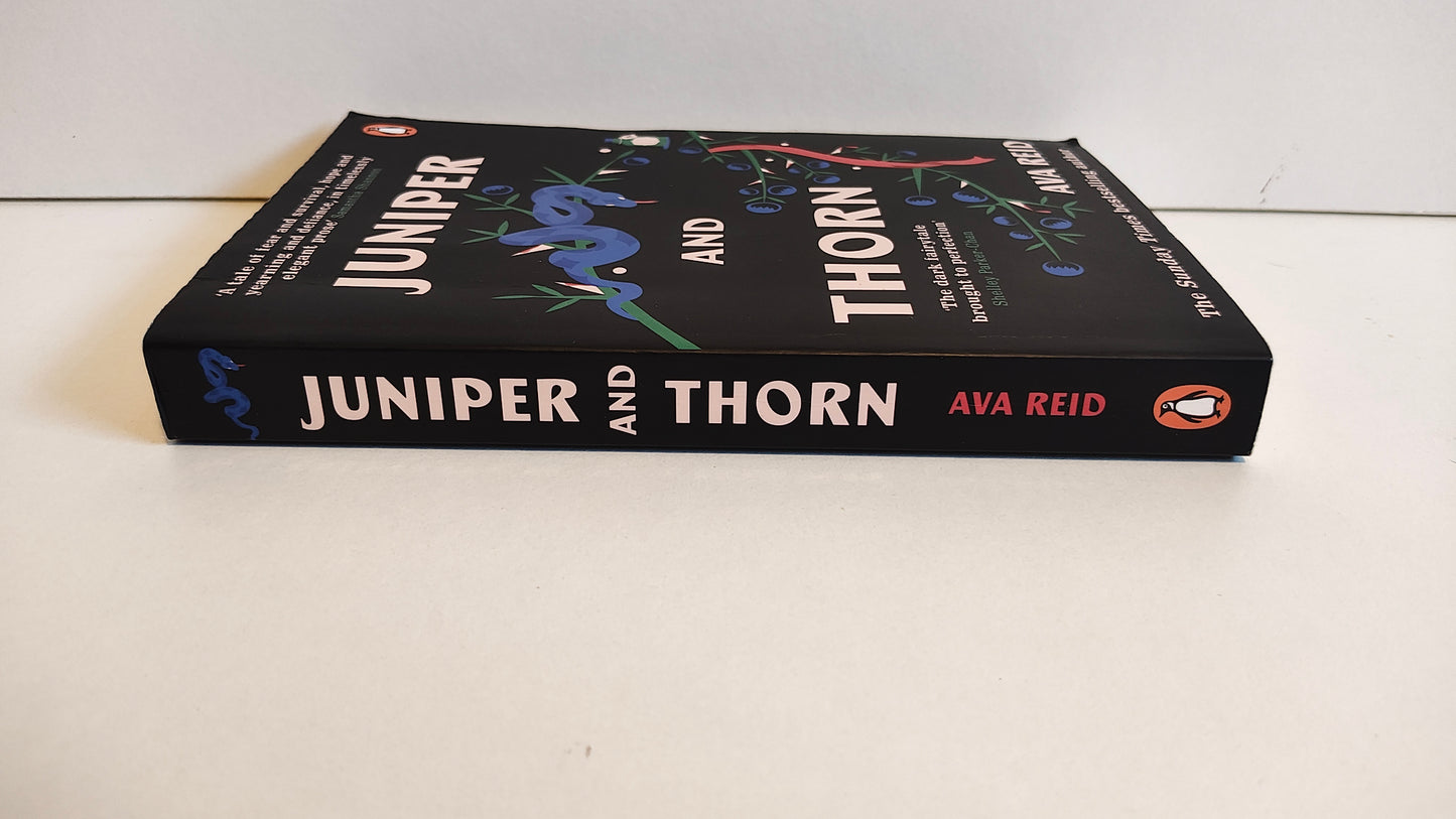 Juniper and Thorn by Ava Reid (2022)