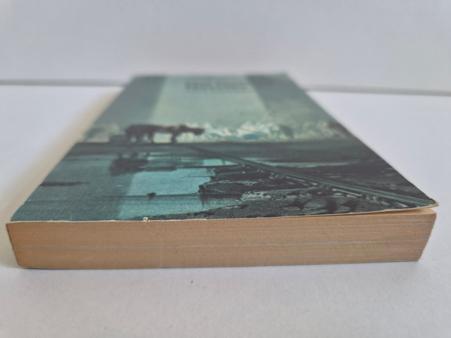 The Railway Navvies by Terry Coleman (1972)