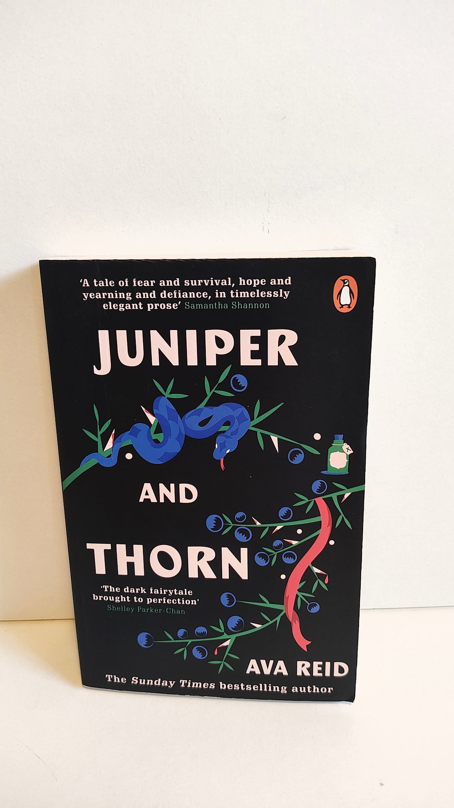 Juniper and Thorn by Ava Reid (2022)