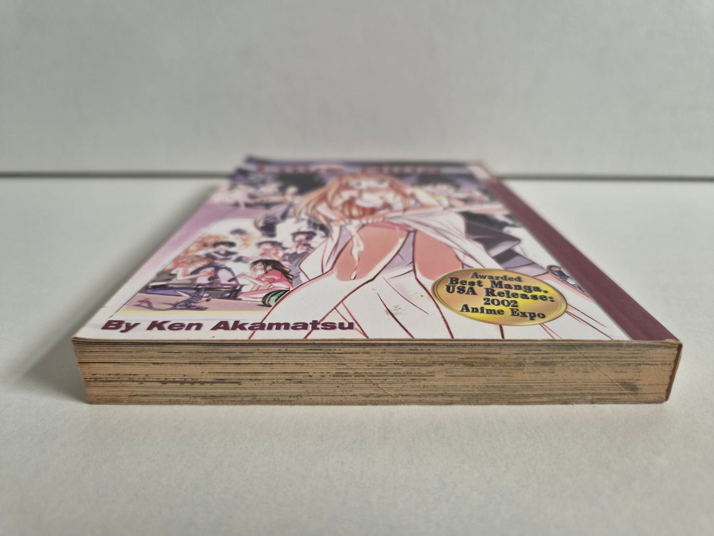 Love Hina Volume 13 by Ken Akamatsu (2003)