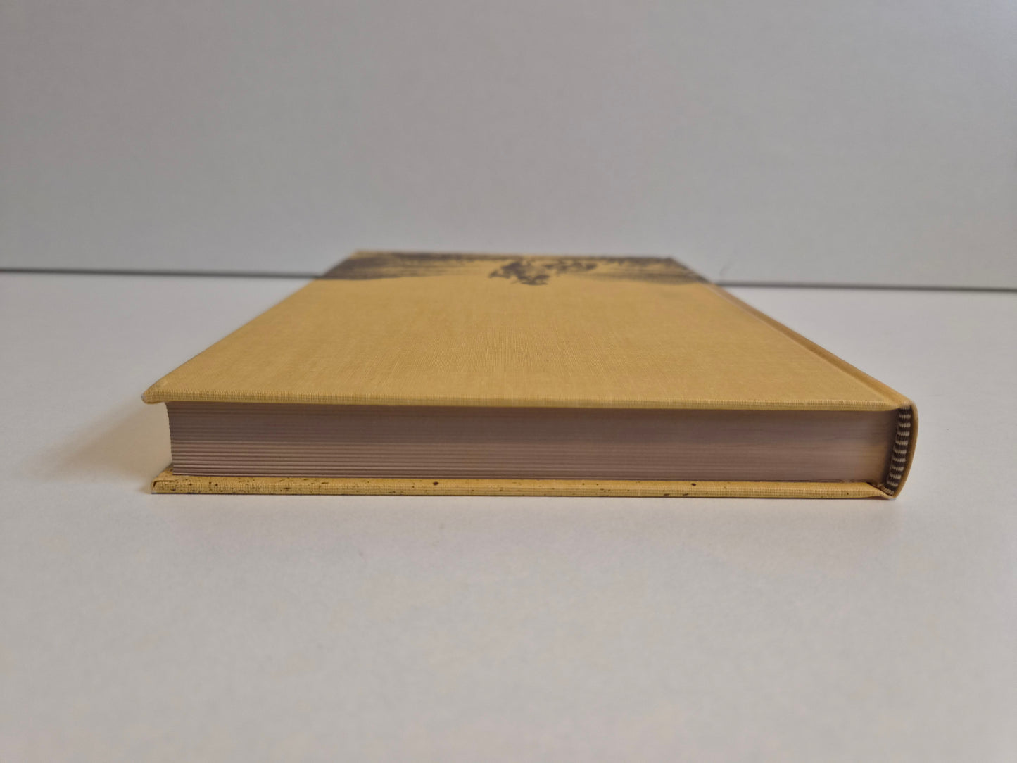 The Virginian by Owen Wister (1981)