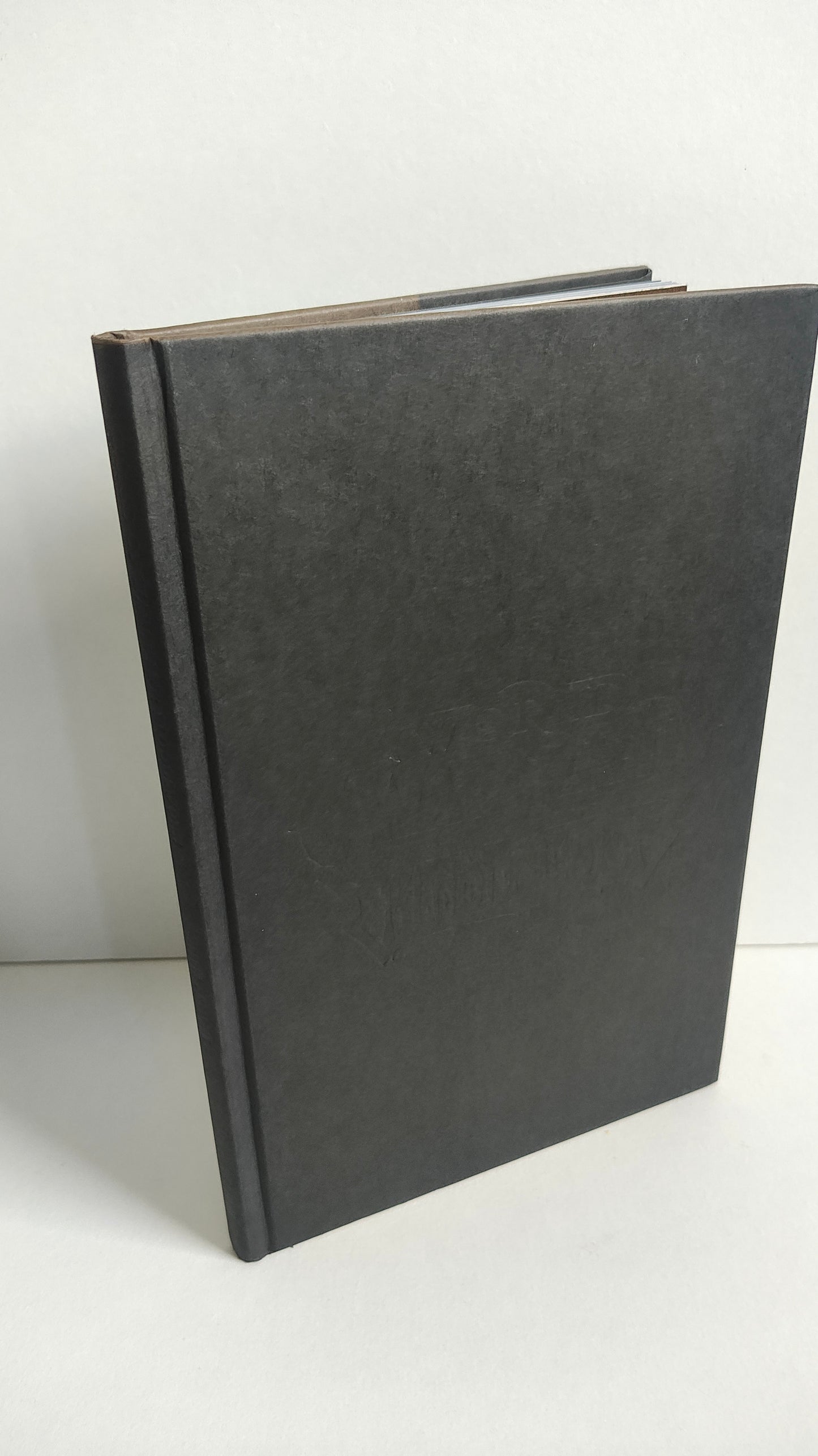 World of Warcraft Bloodsworn by Doug Wagner (2013)