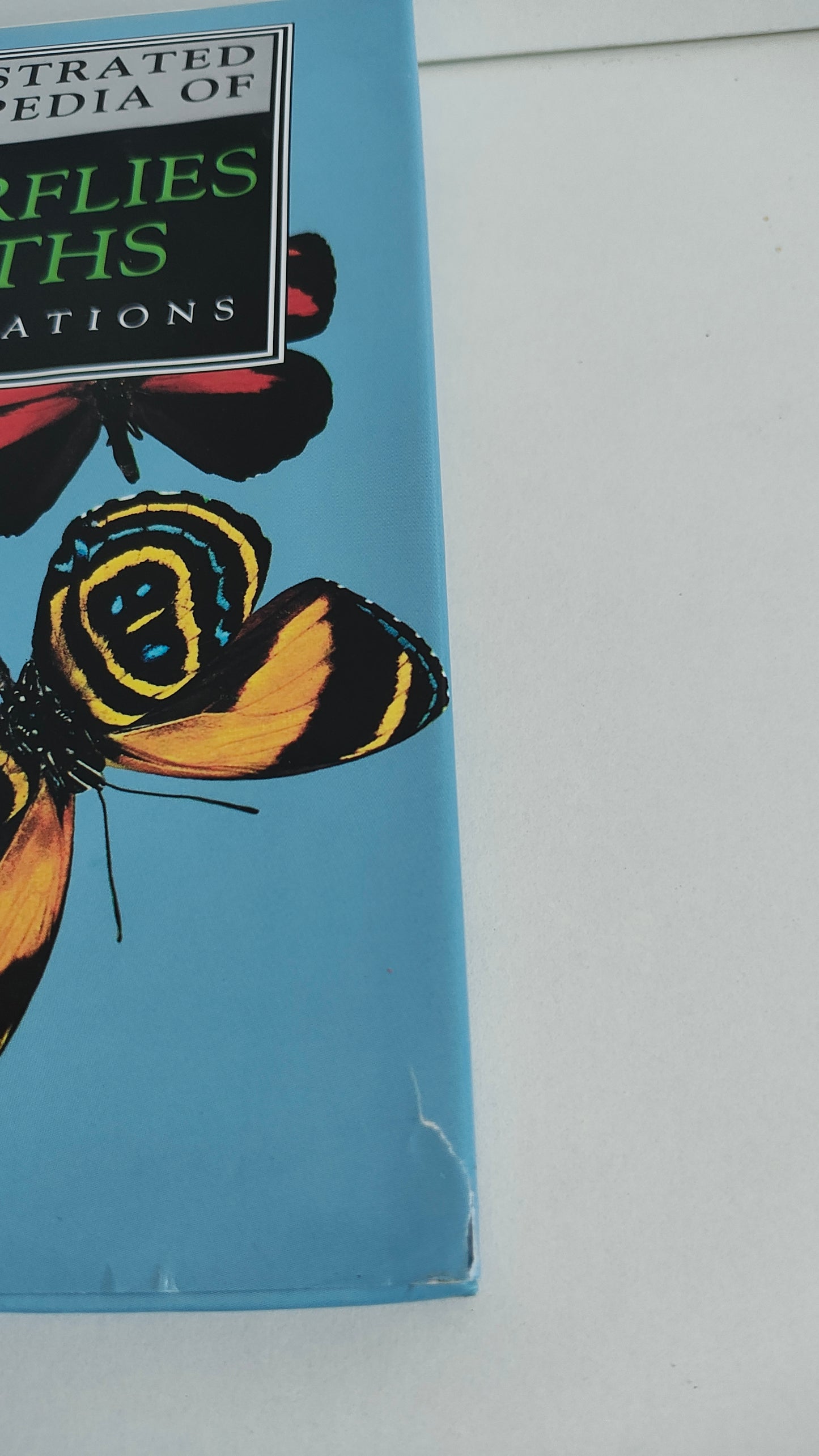The Illustrated Encyclopedia of Butterflies & Moths by Dr V J Stanek (1992)