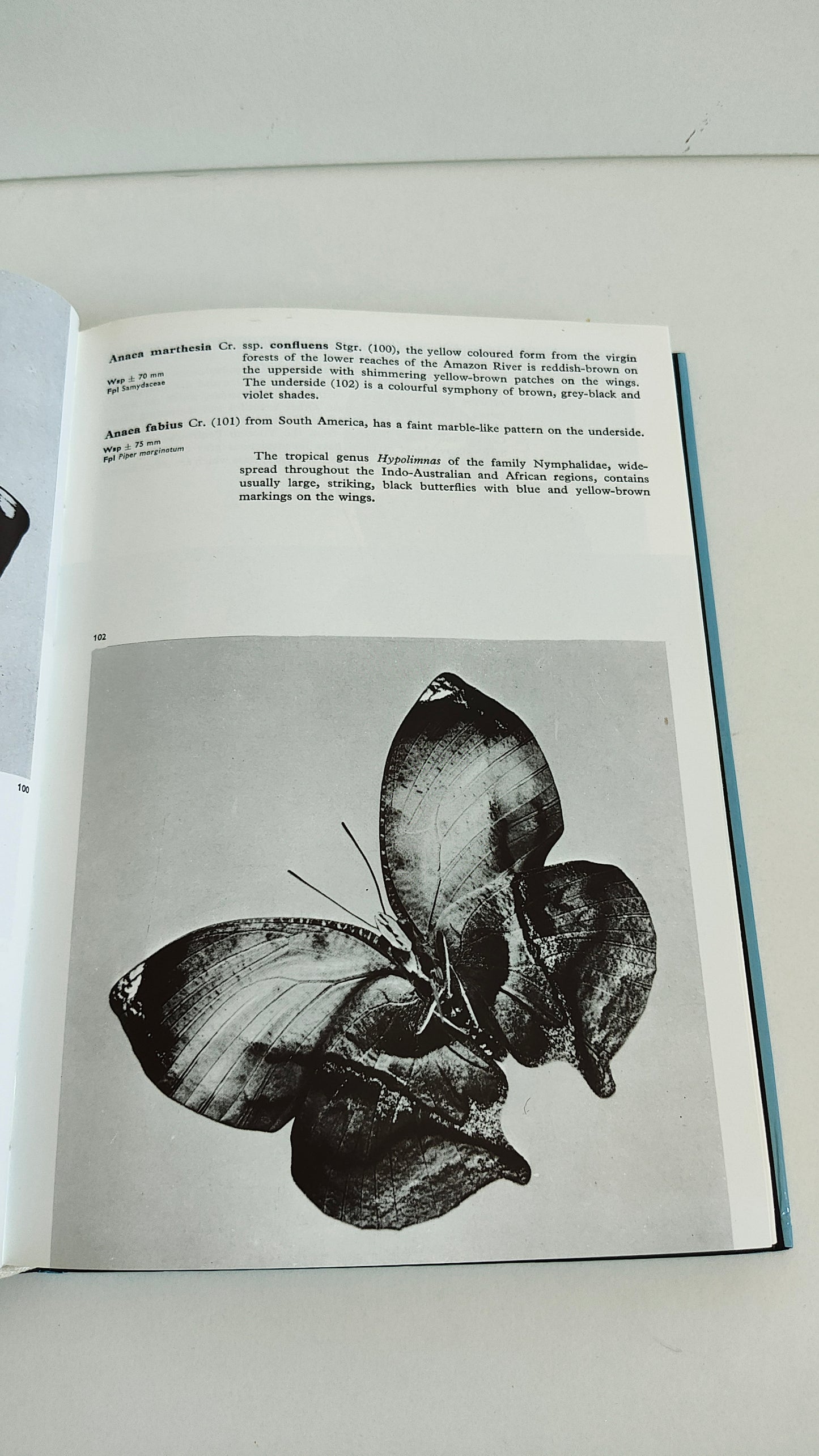 The Illustrated Encyclopedia of Butterflies & Moths by Dr V J Stanek (1992)