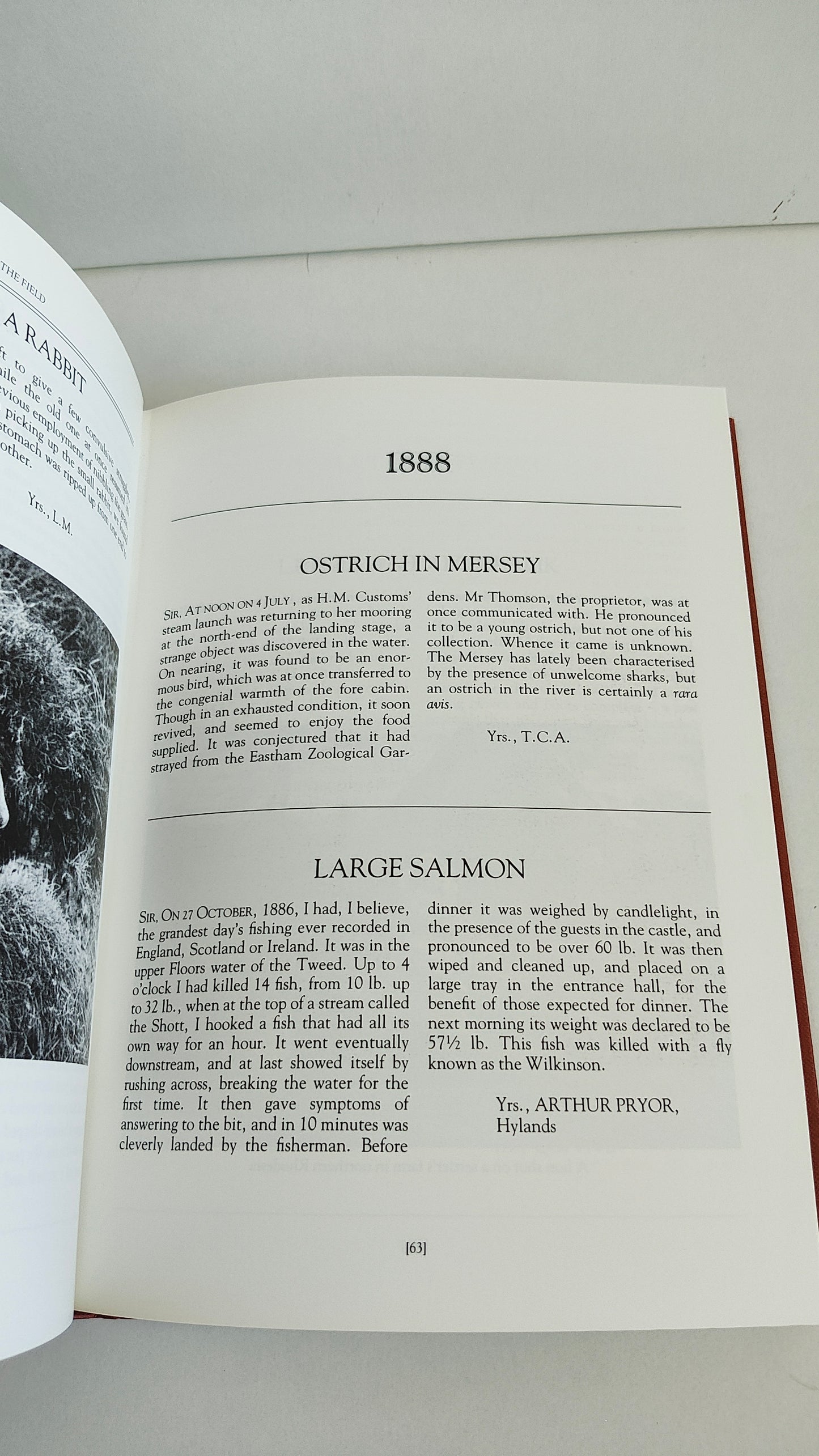 Harvesting The Field by James Irvine Robertson (1991)