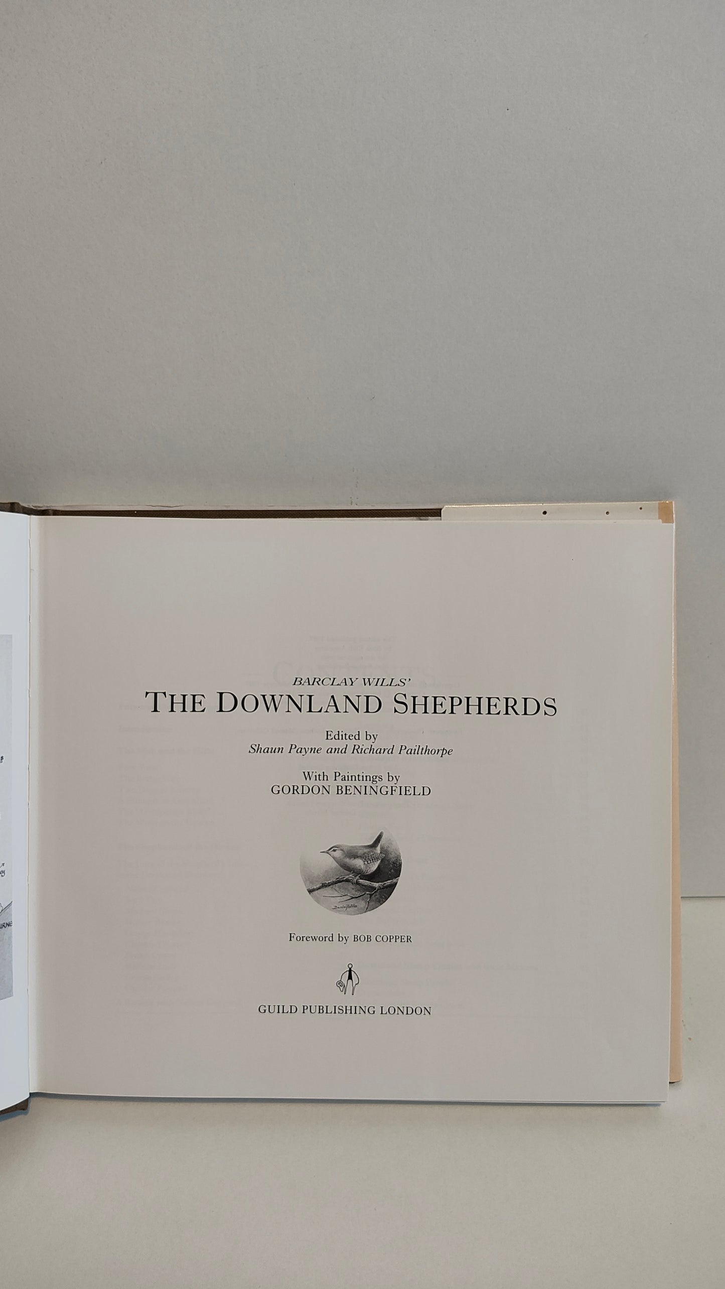 Barclay Wills' The Downland Shepherds (1989)