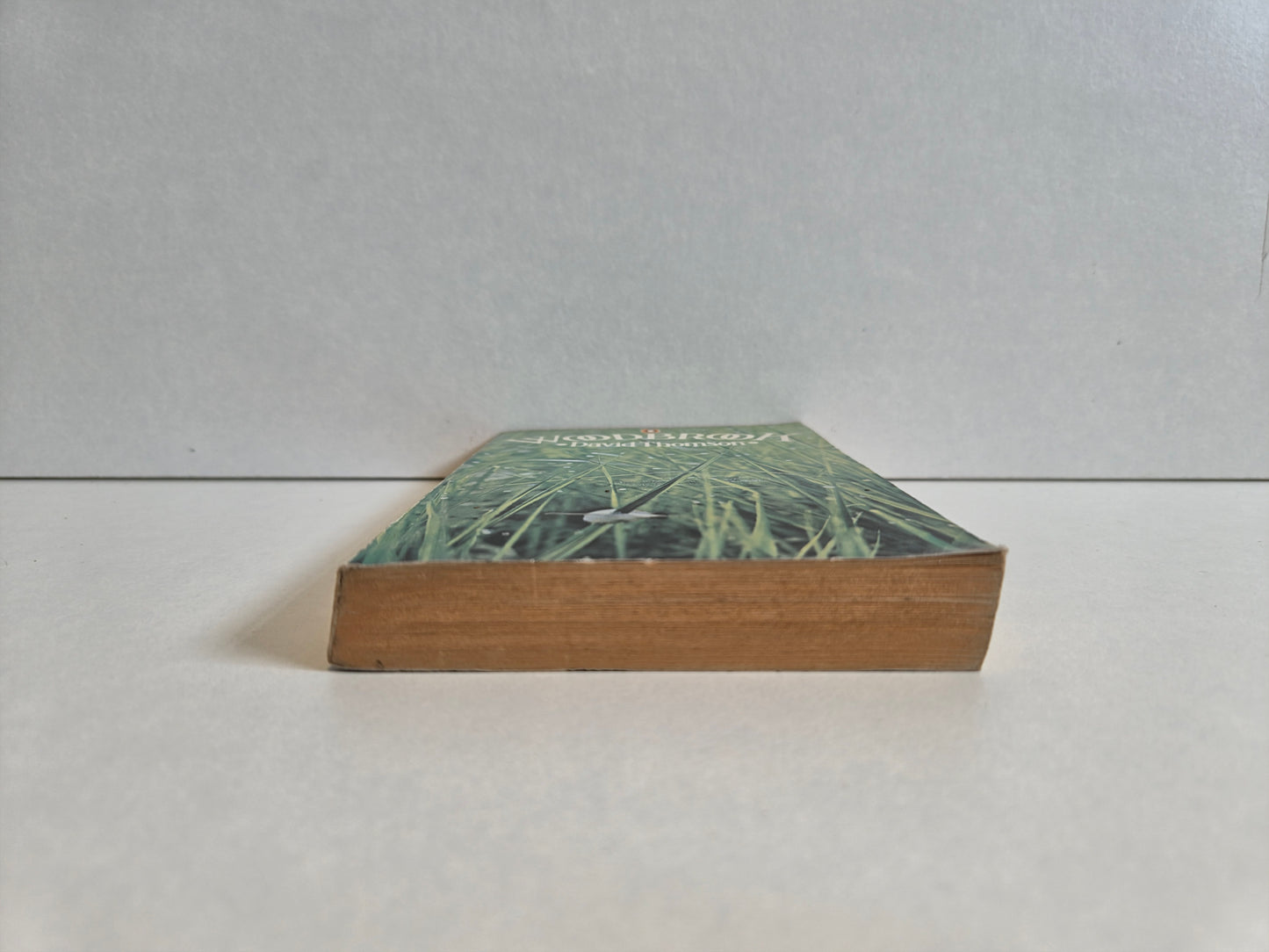 Woodbrook by David Thomas (1974)