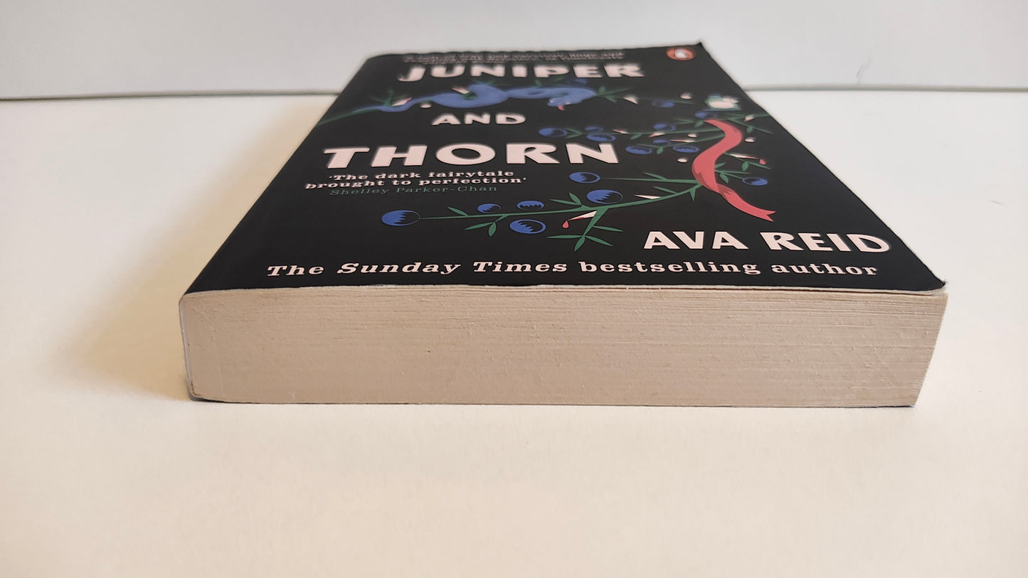 Juniper and Thorn by Ava Reid (2022)