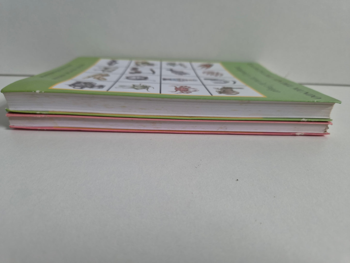 La Cocina Del Fin Del Muno - 2 Volumes - Spanish - French - English