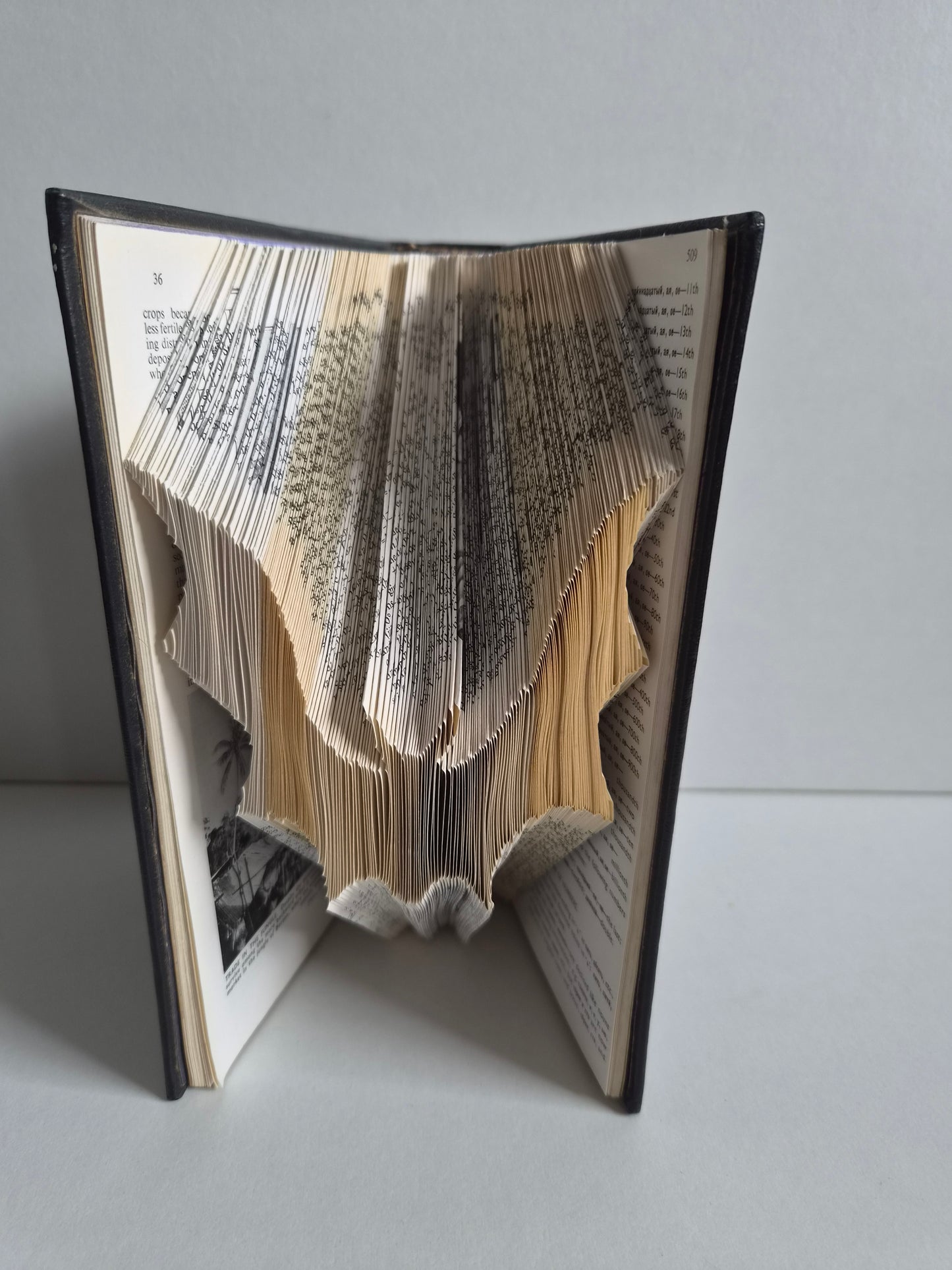 Folded Book Art Bat (Black Cover)