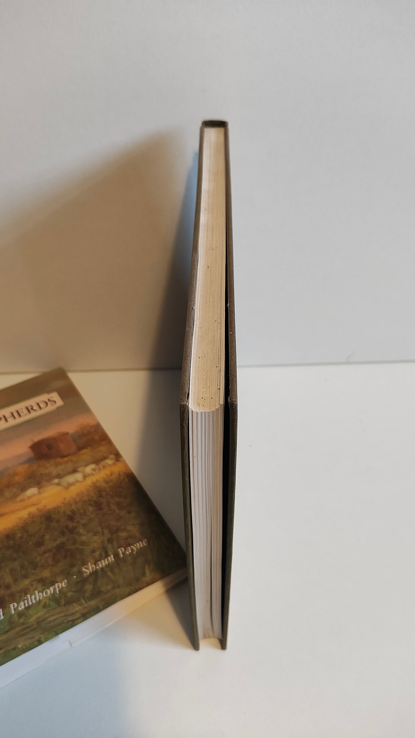 Barclay Wills' The Downland Shepherds (1989)