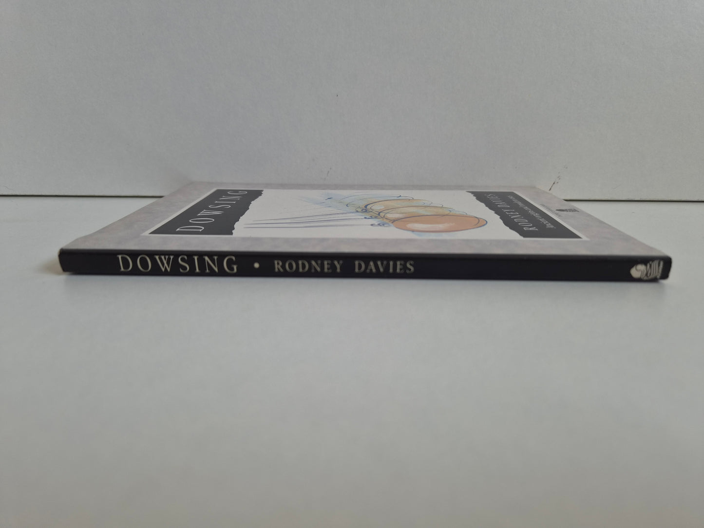 Dowsing by Rodney Davies (1991)