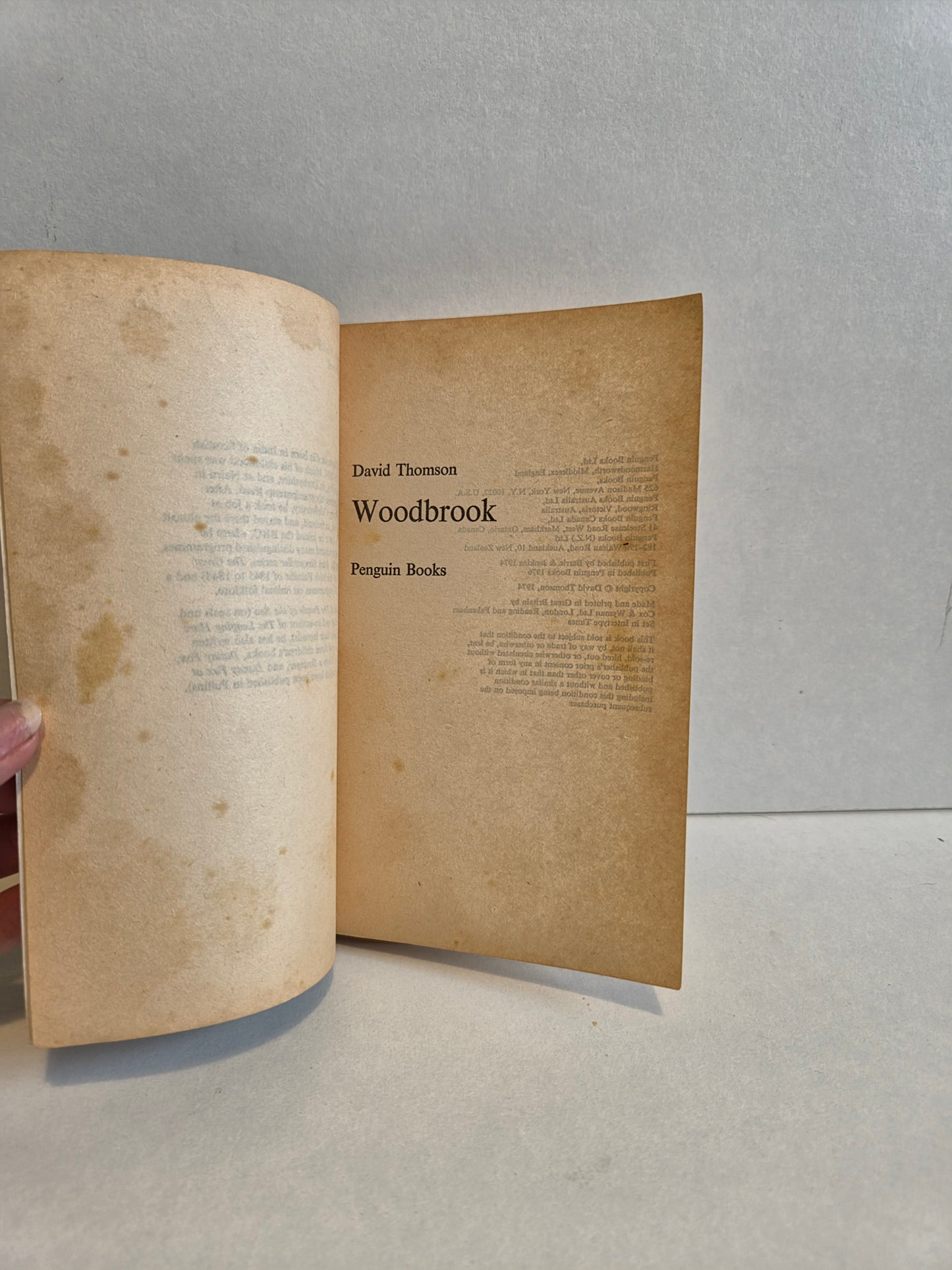Woodbrook by David Thomas (1974)