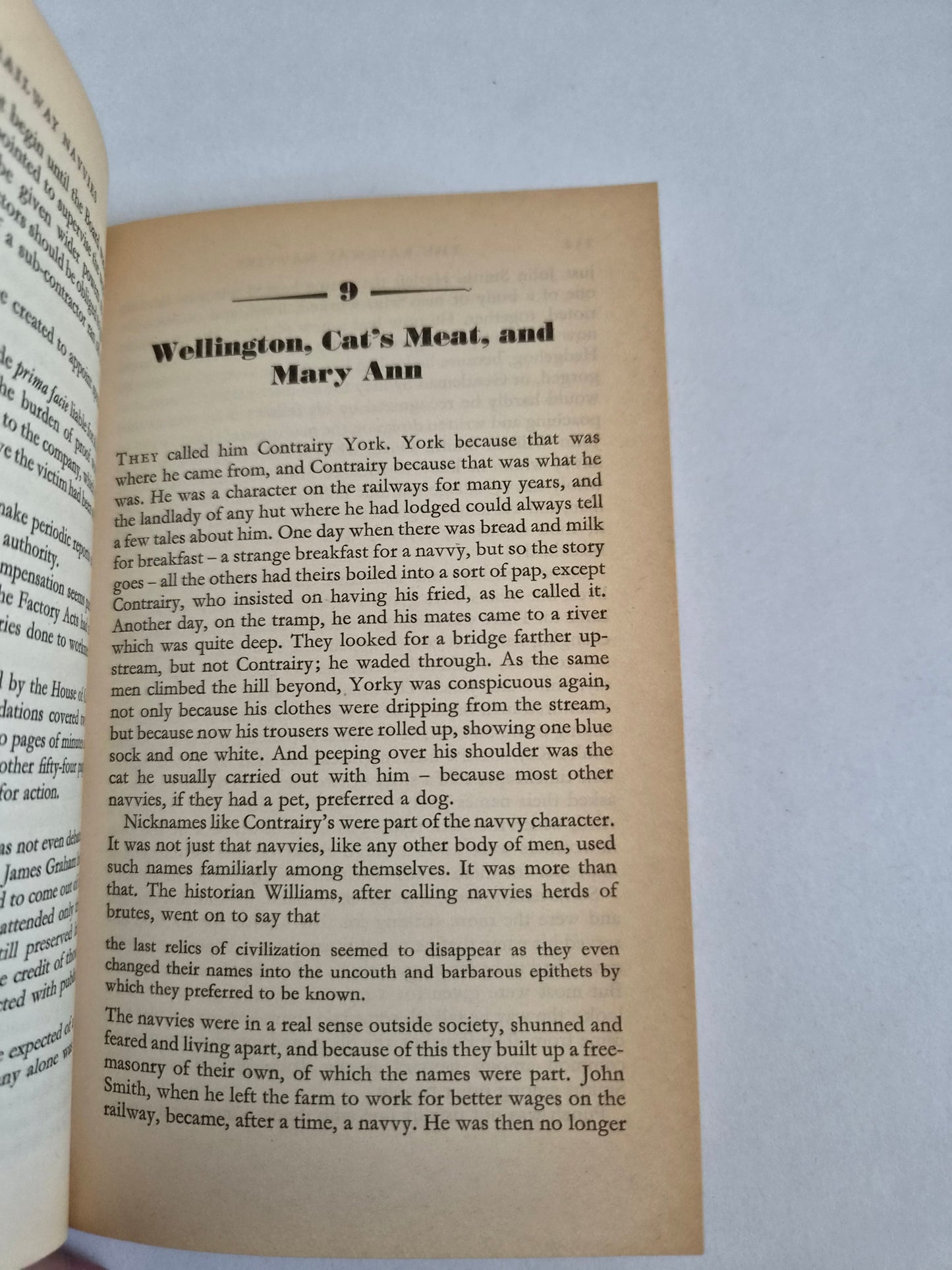 The Railway Navvies by Terry Coleman (1972)