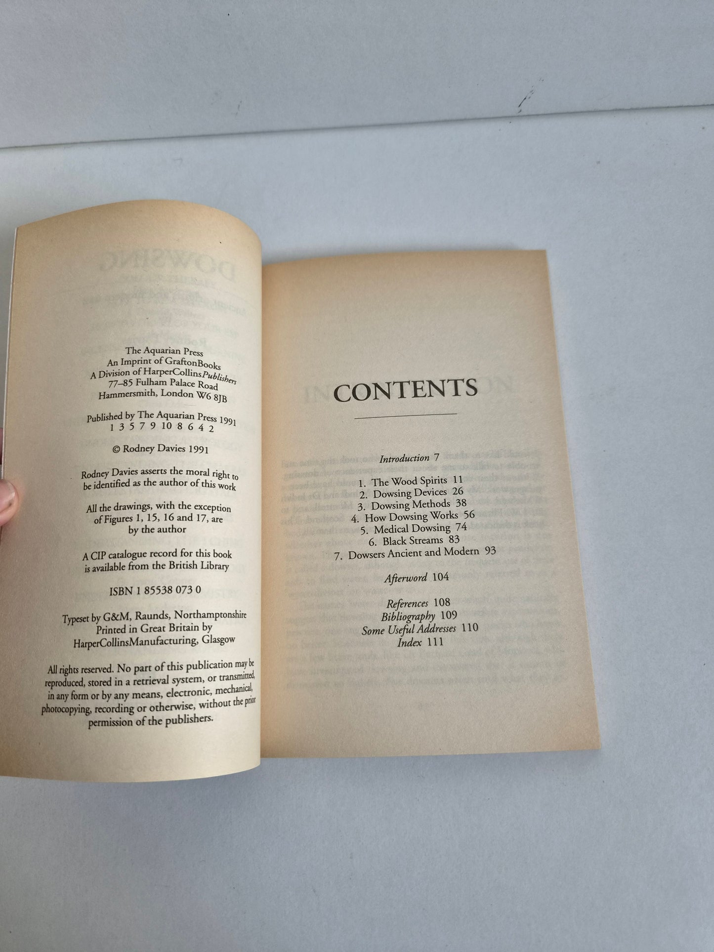 Dowsing by Rodney Davies (1991)
