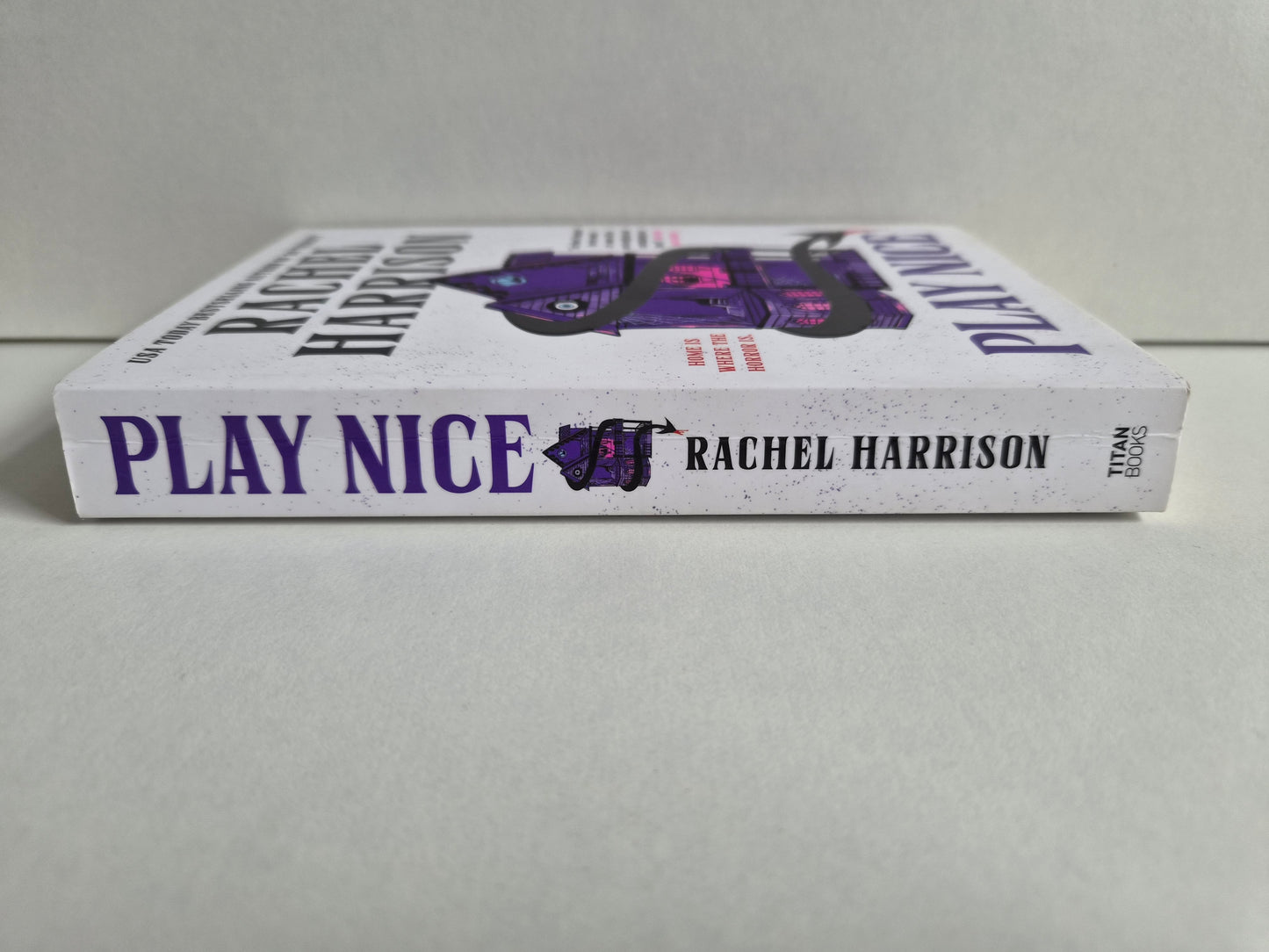 Play Nice by Rachel Harrison (2025)